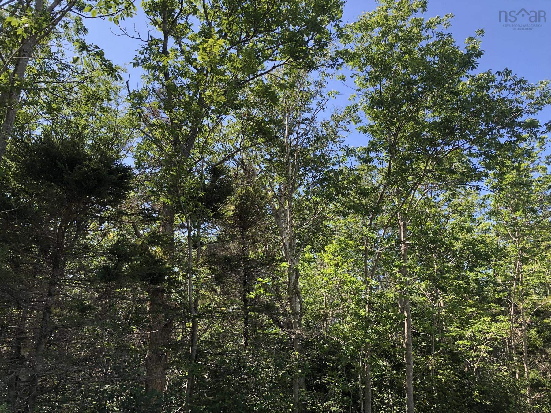 $99,000.00: Lot Lighthouse Road, Bay View