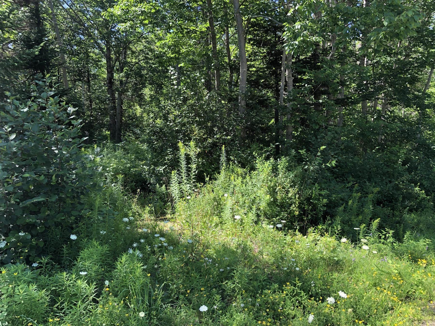 $99,000.00: Lot Lighthouse Road, Bay View