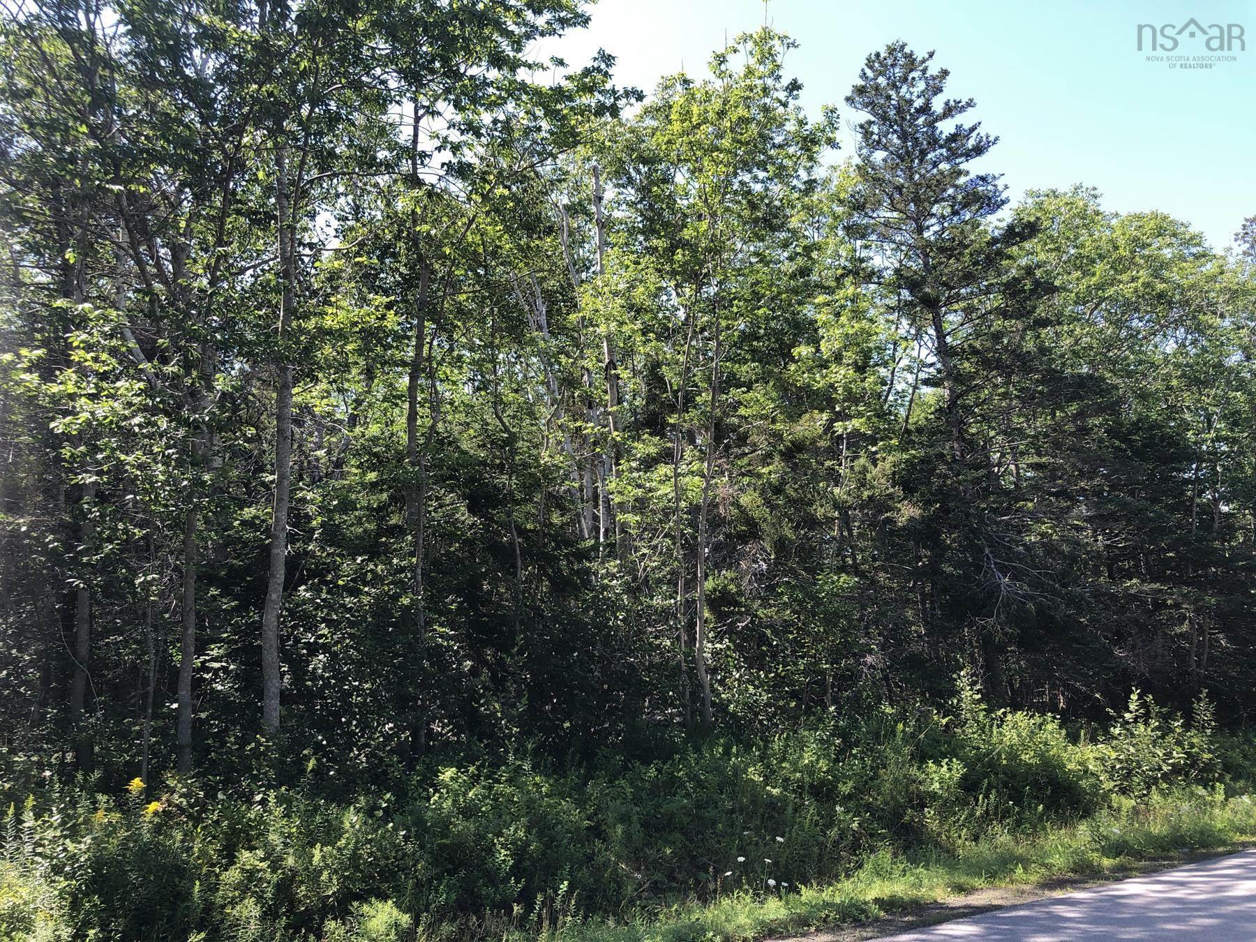 $99,000.00: Lot Lighthouse Road, Bay View