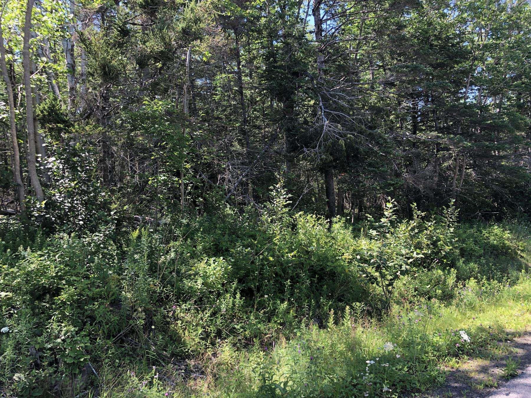 $99,000.00: Lot Lighthouse Road, Bay View