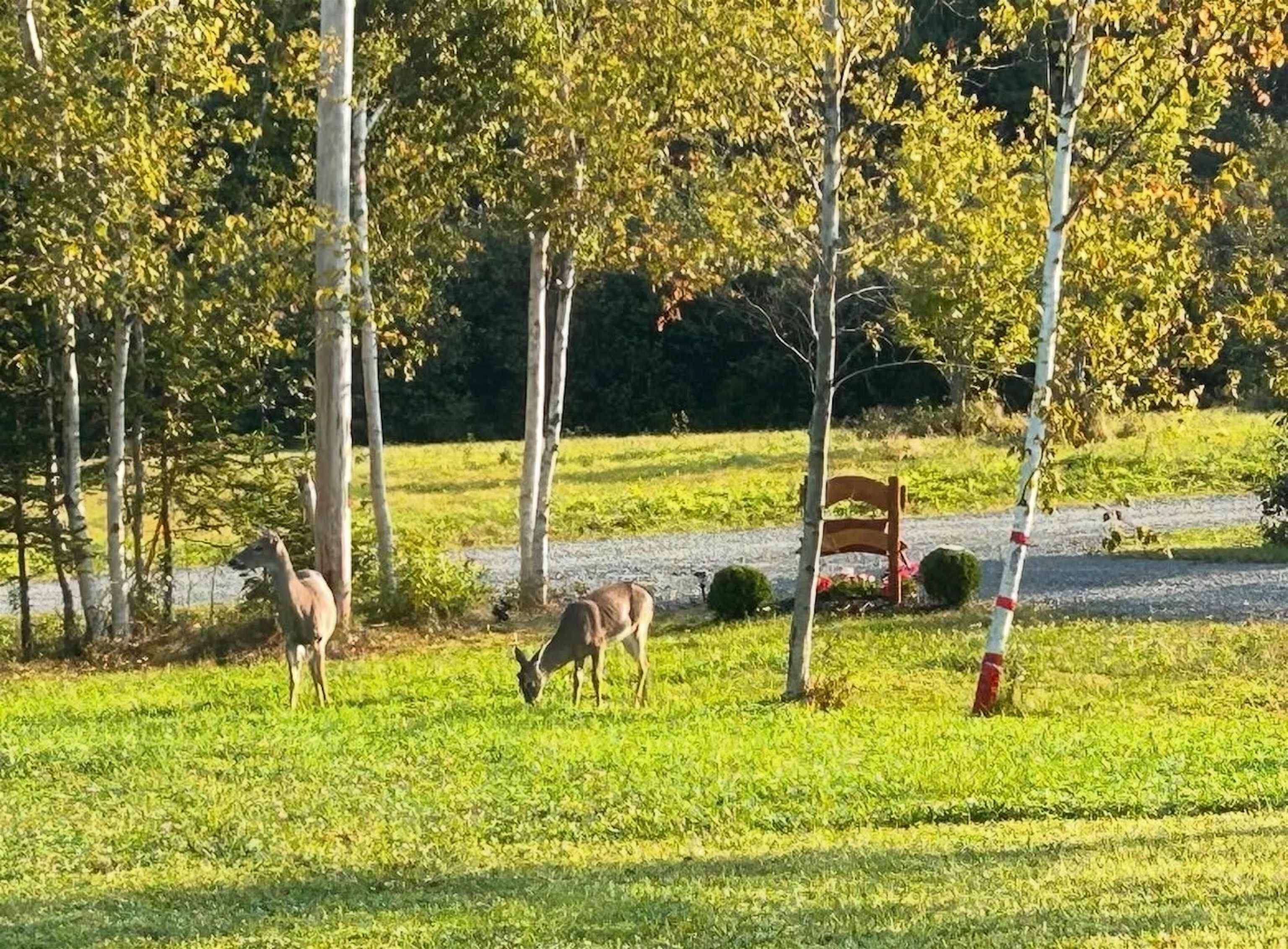 $279,900.00: 79 Saubren Lane, Kempt Shore