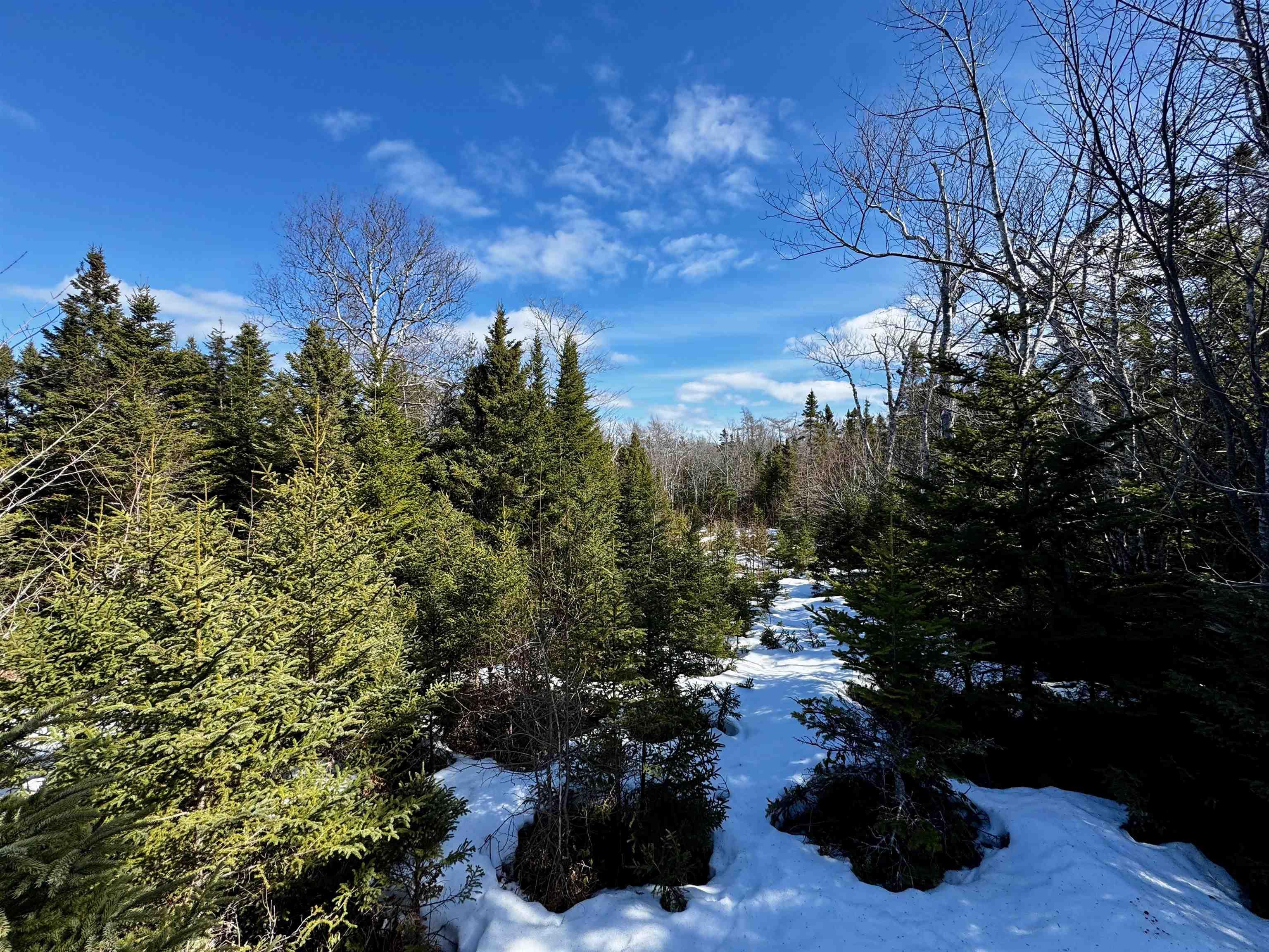 $74,900.00: Maple Drive, Cape George Estates