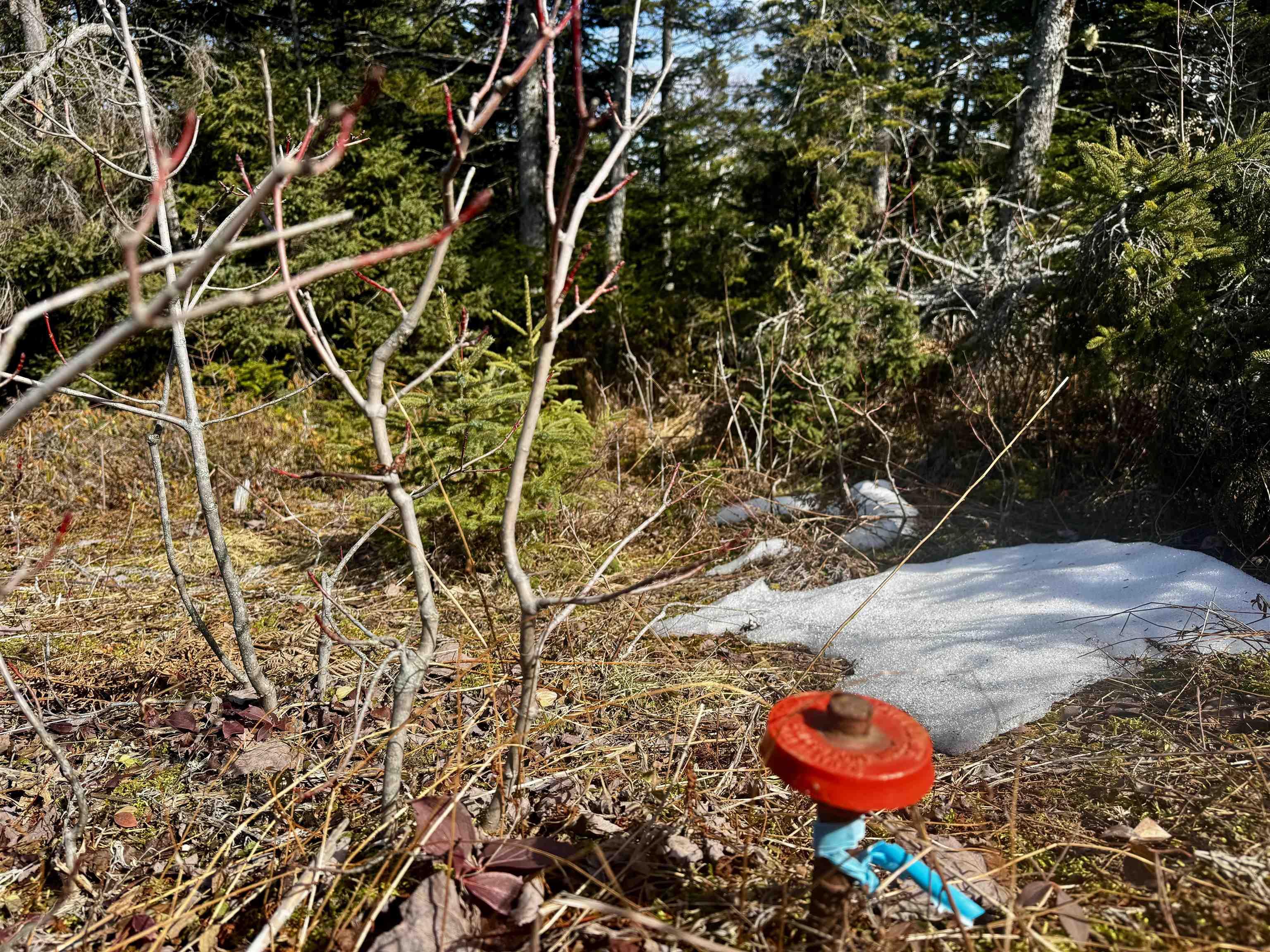 $74,900.00: Maple Drive, Cape George Estates