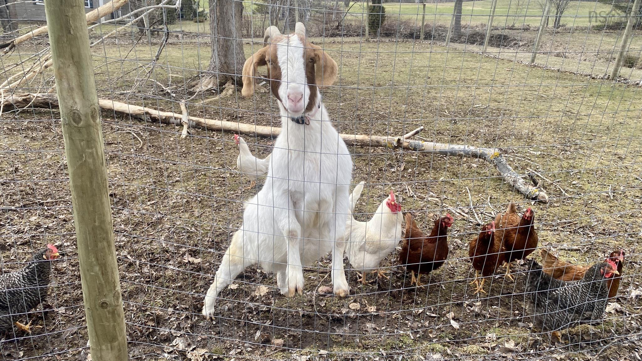 $415,000.00: 7025 12 Highway, North Alton