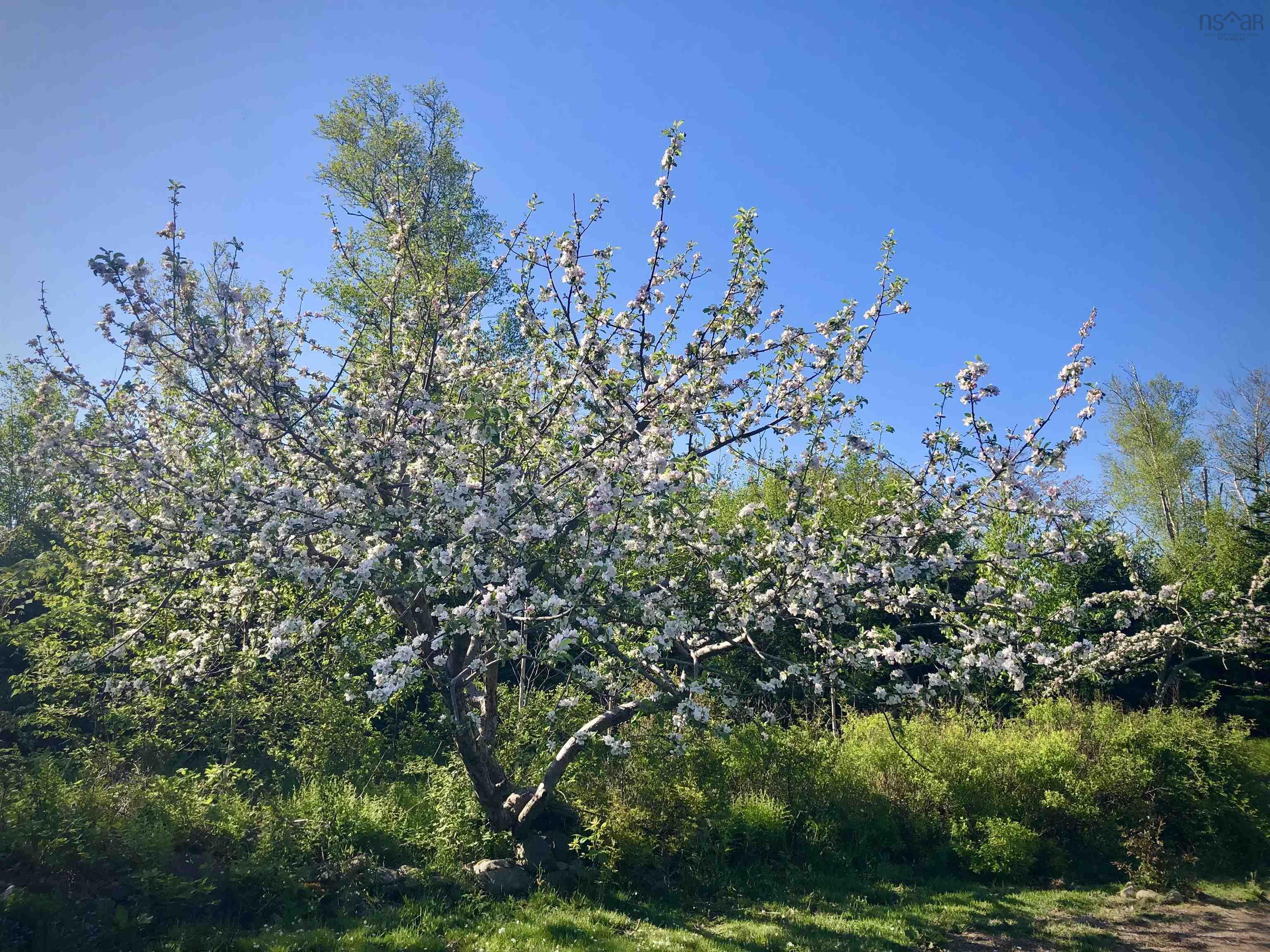 $350,000.00: 1093 Oak Park Road, Barrington