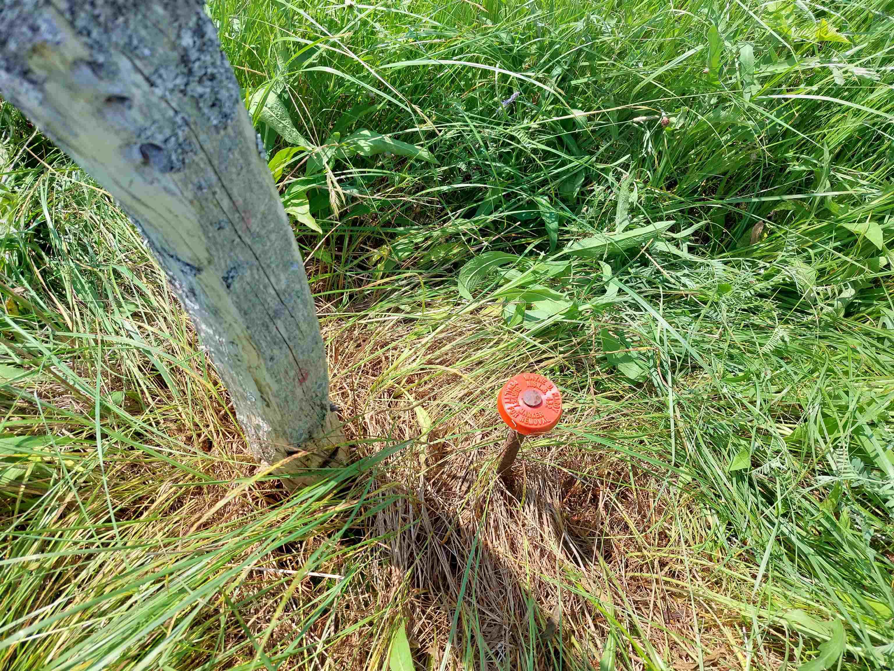 $42,000.00: Lot 4 Grand Mira Rd S, Grand Mira South