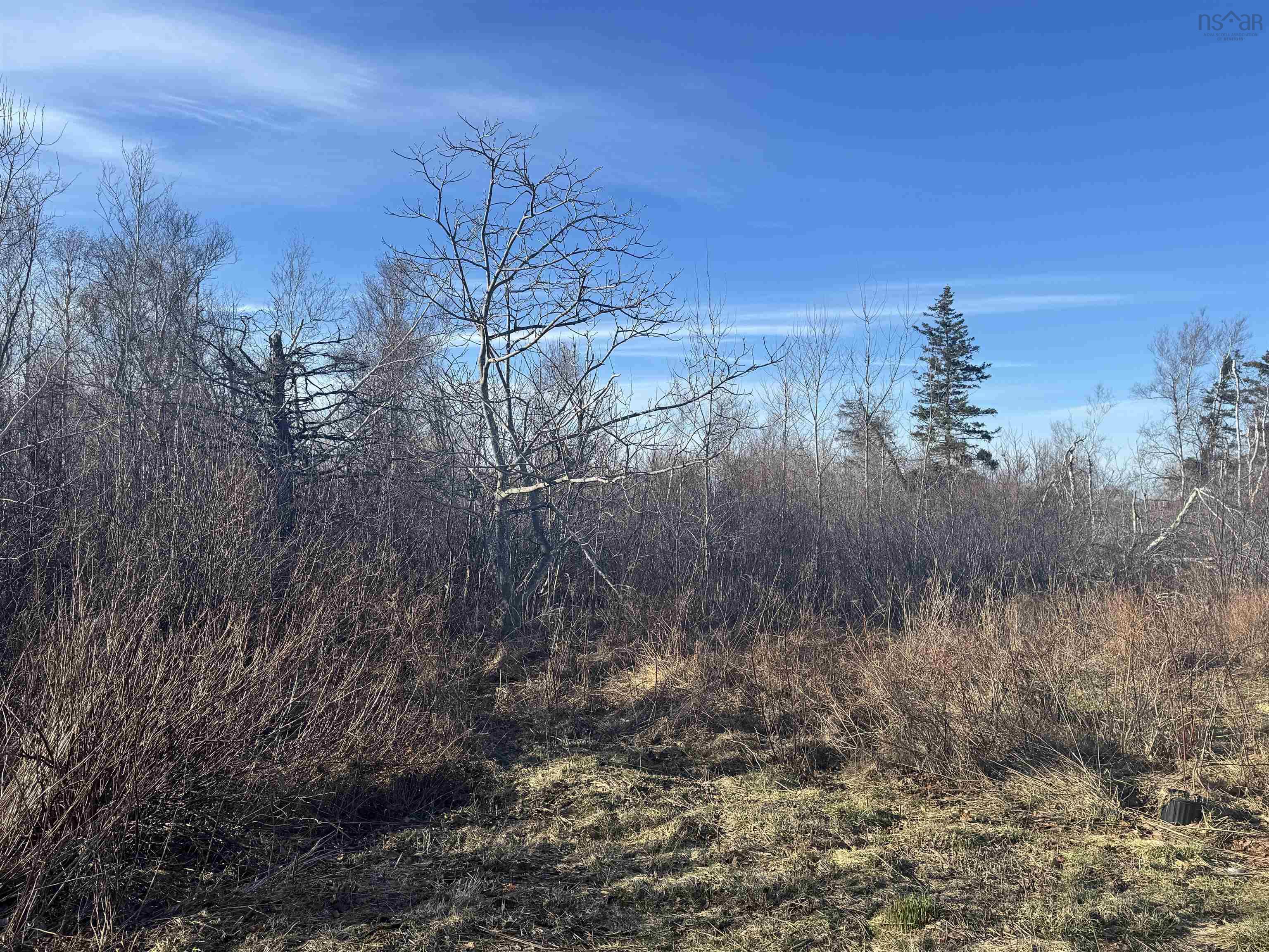 $258,500.00: 81 Levi White Road, Kings Head