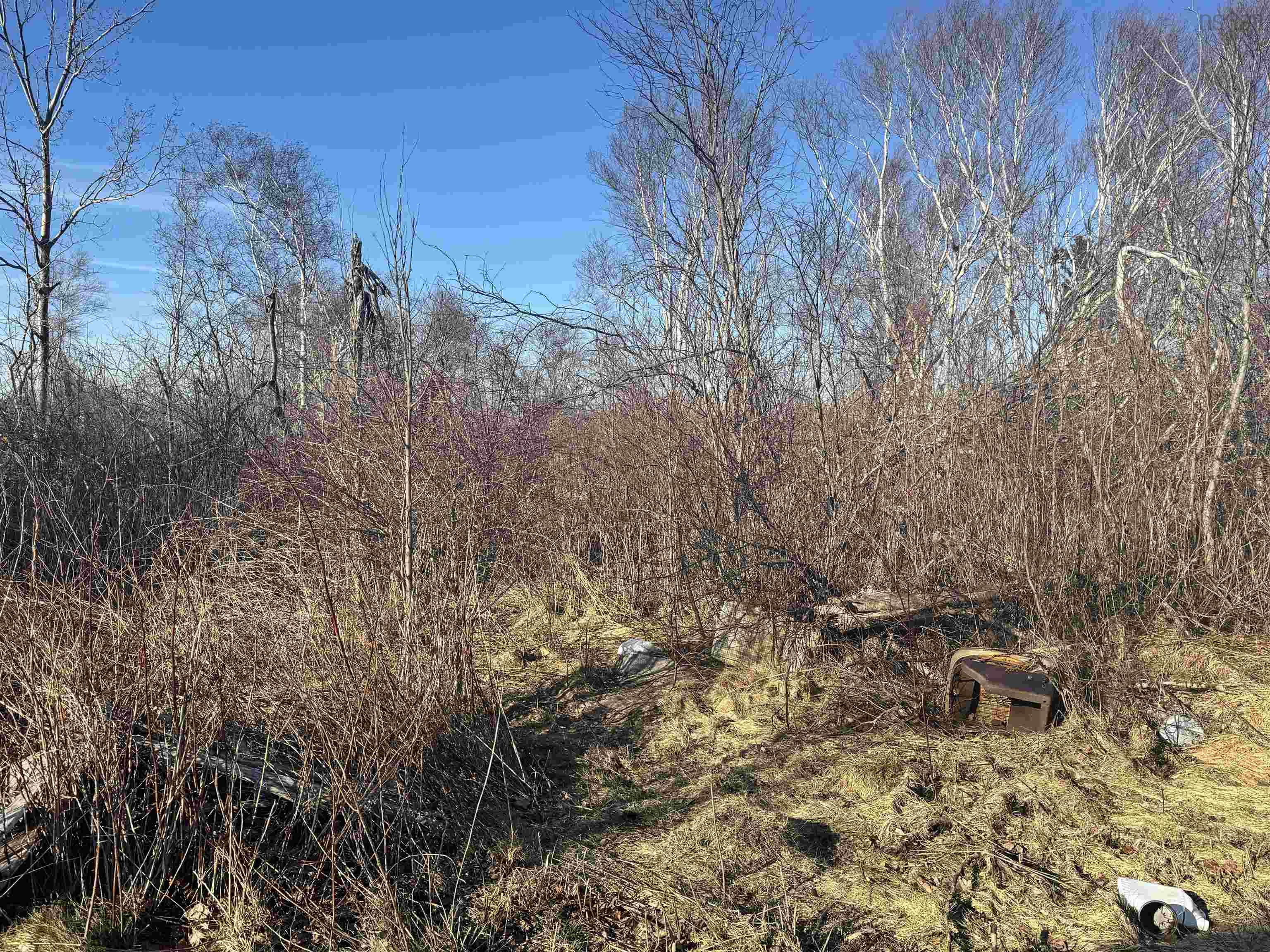 $258,500.00: 81 Levi White Road, Kings Head