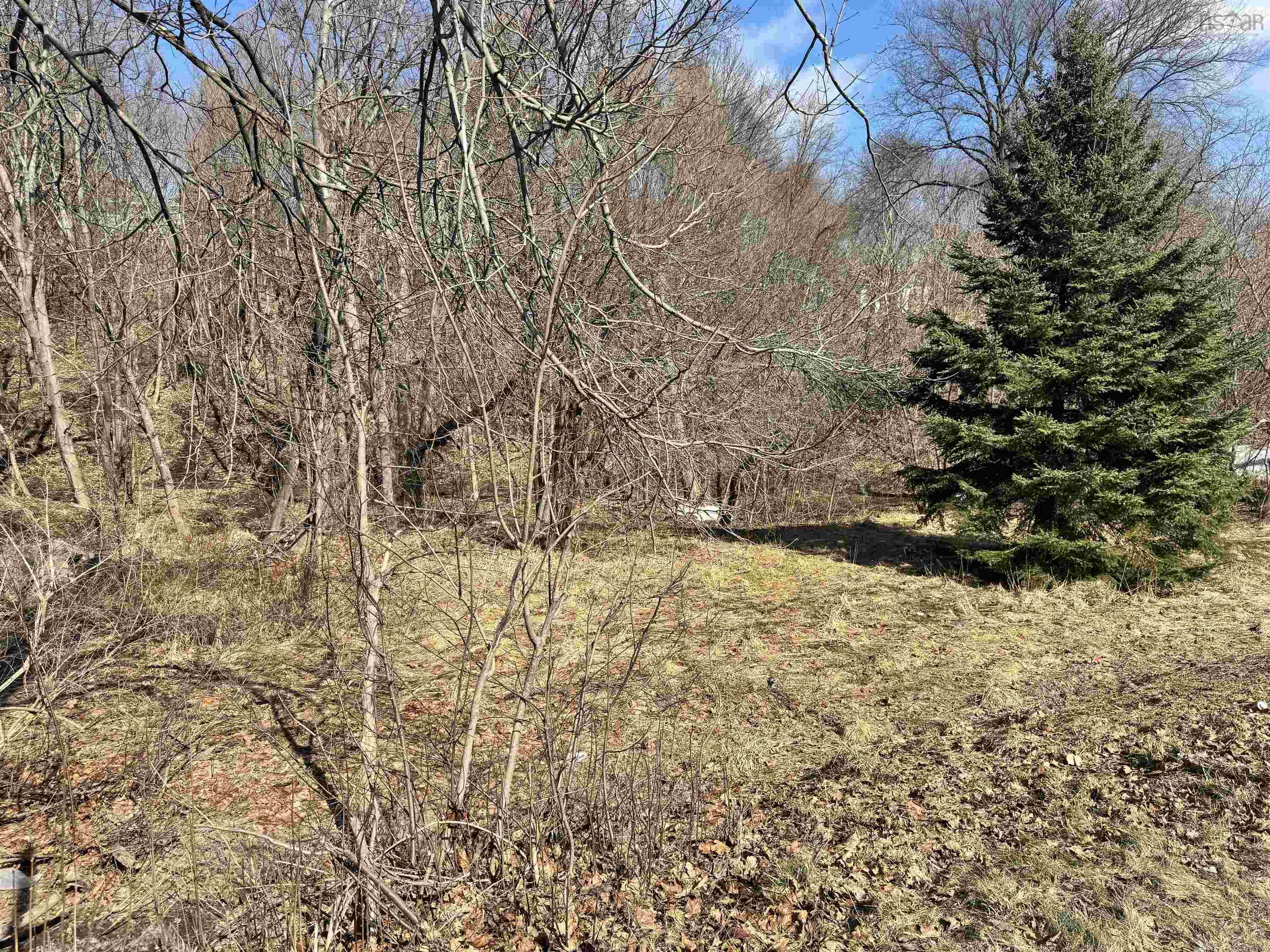 $38,000.00: Lot Munroe Avenue, New Glasgow