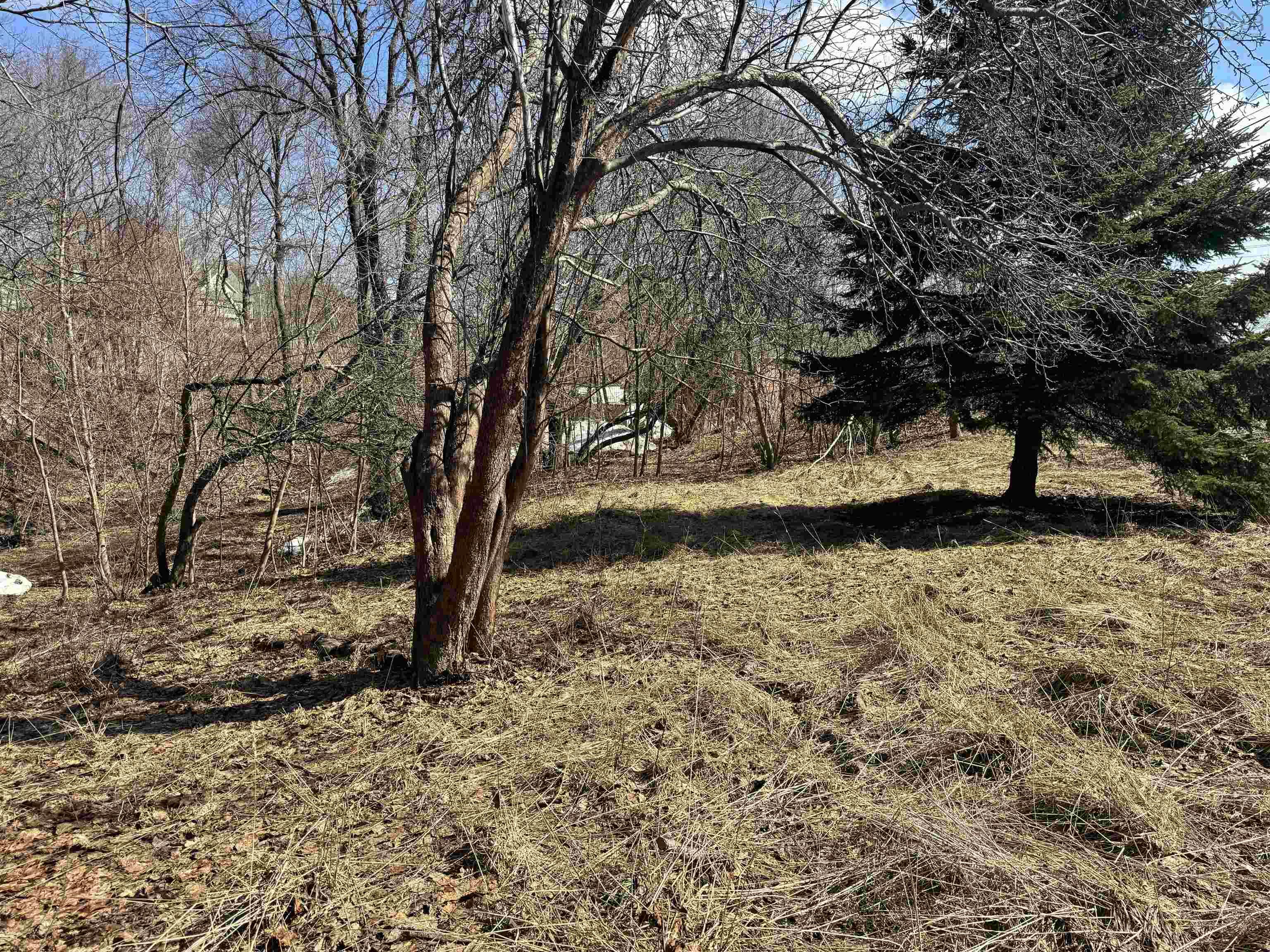 $38,000.00: Lot Munroe Avenue, New Glasgow