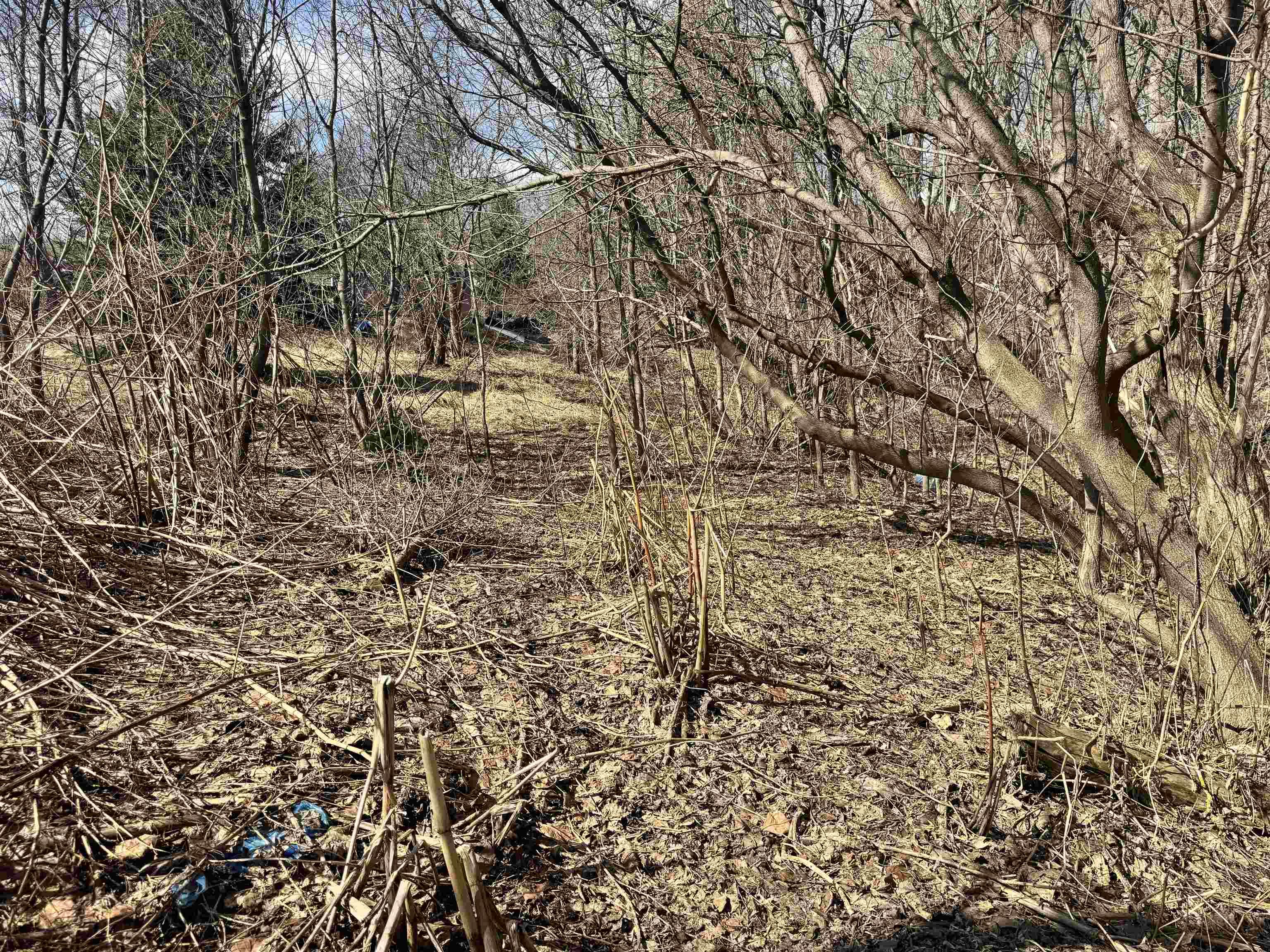 $38,000.00: 23 Munroe Avenue, New Glasgow