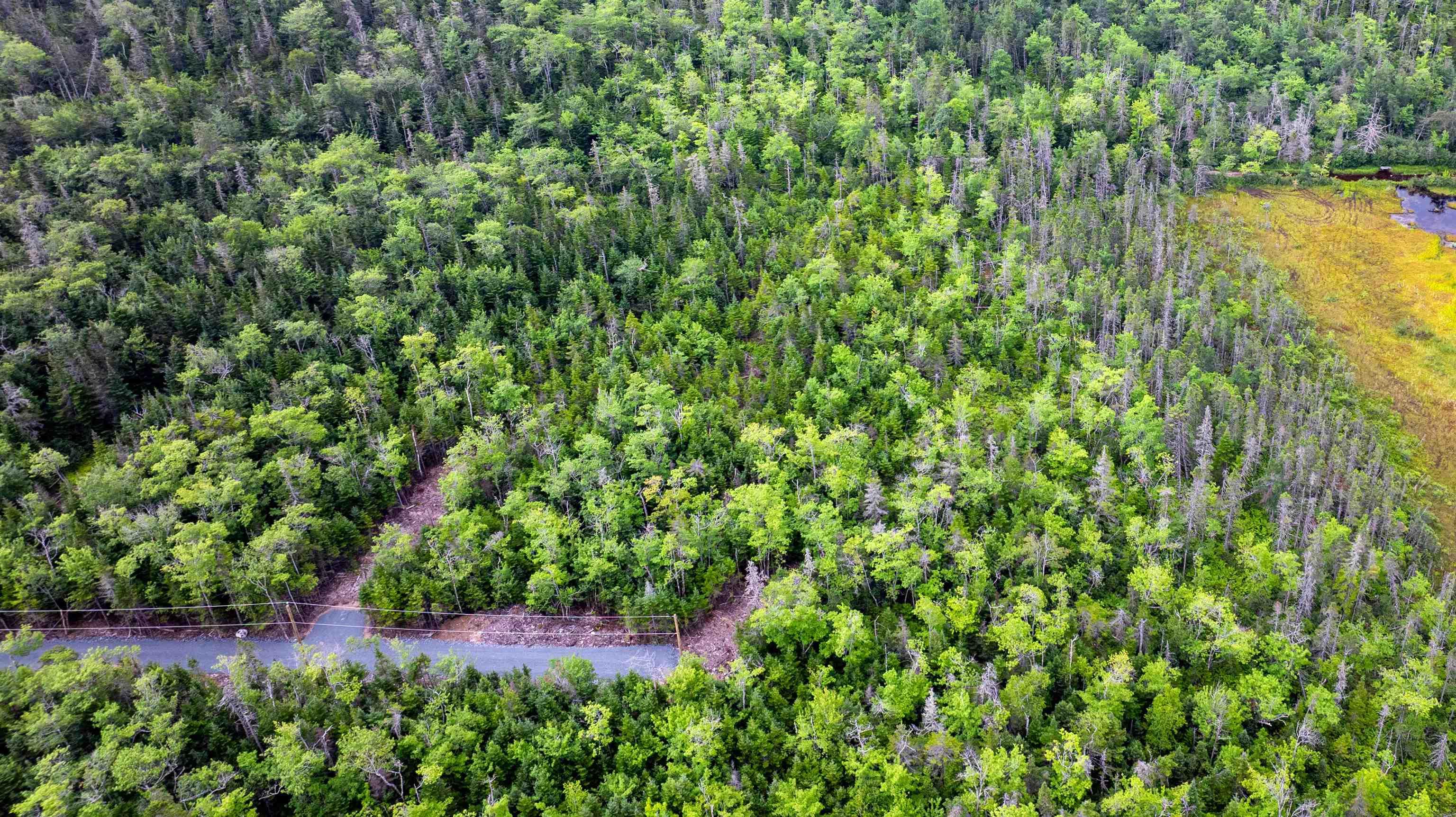 84 Northgrove Lane, West Porters Lake, NS (MLS® 202605163)