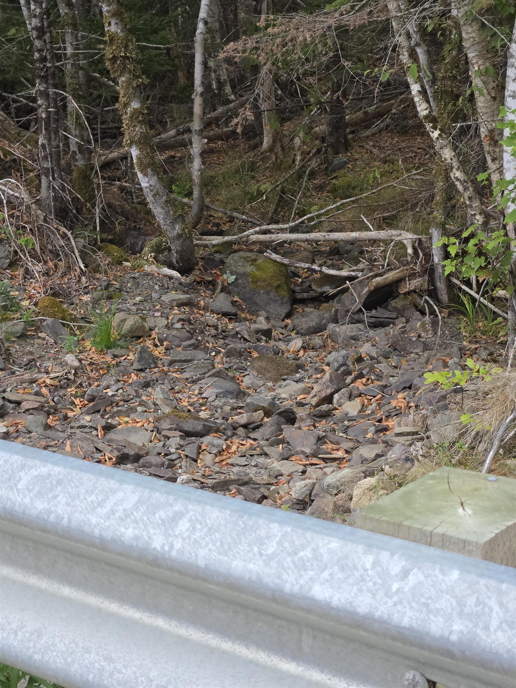 $54,500.00: 5 Lot 5 Lochiel Lake (west side), Lochiel Lake