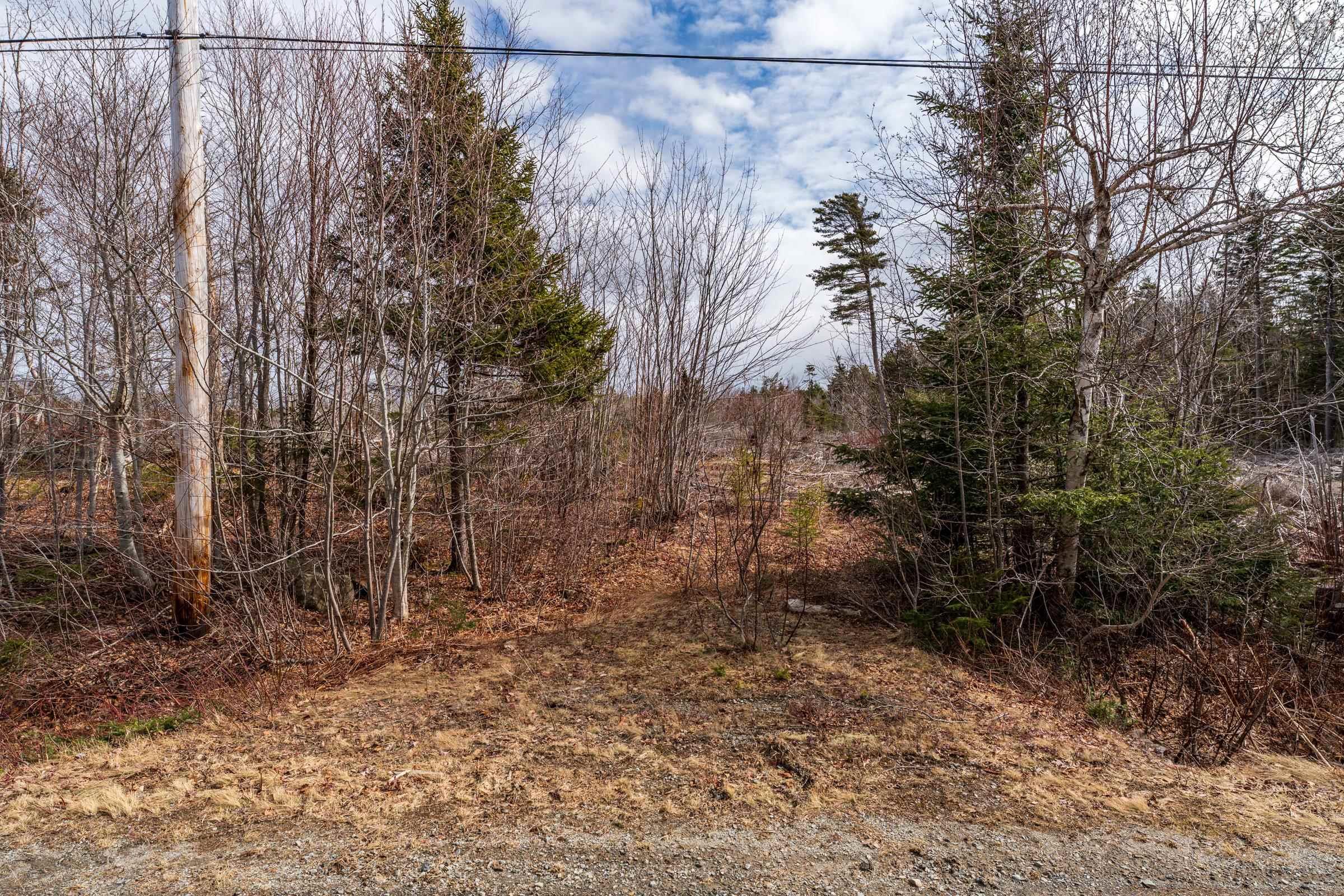 $30,000.00: Lot Second Division Road, Concession