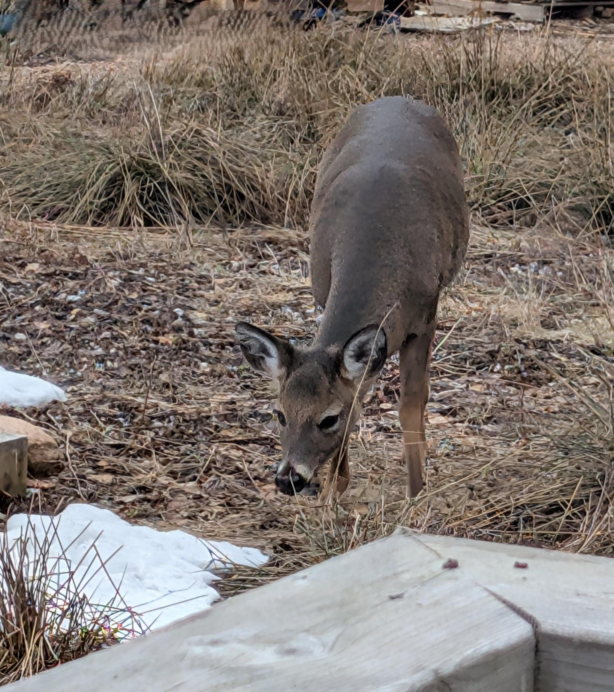 $389,000.00: 58 Golden Shore Lane, West Bay Marshes
