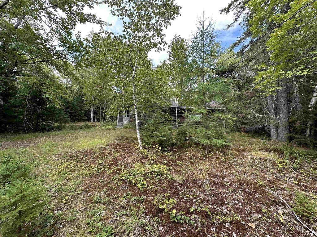 420 Malay Falls Lochaber Mines Road, Malay Falls, NS (MLS 202605259)