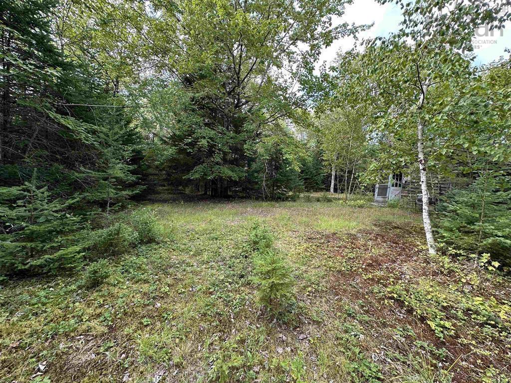 420 Malay Falls Lochaber Mines Road, Malay Falls, NS (MLS 202605259)