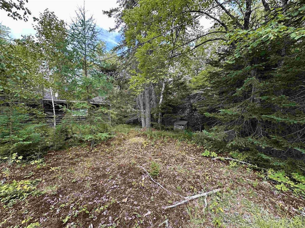 420 Malay Falls Lochaber Mines Road, Malay Falls, NS (MLS 202605259)