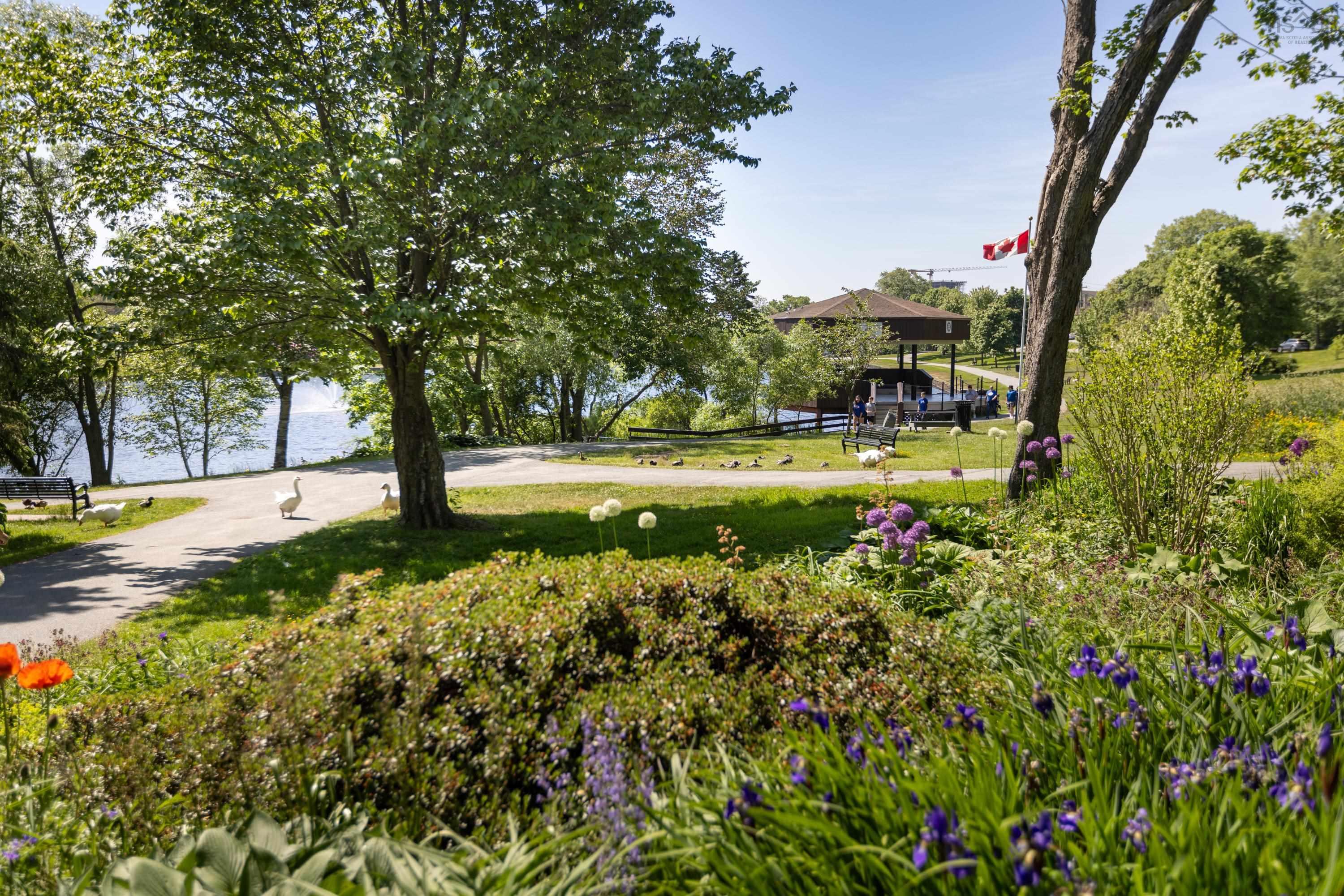 $869,900.00: 132 B&C Prince Albert Road, Dartmouth