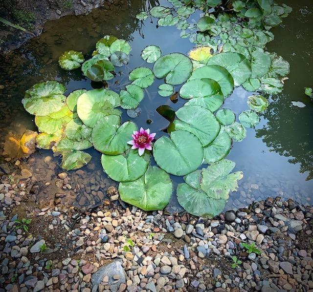 $899,000.00: 20 Wilkies Cove Road, Middle Lahave