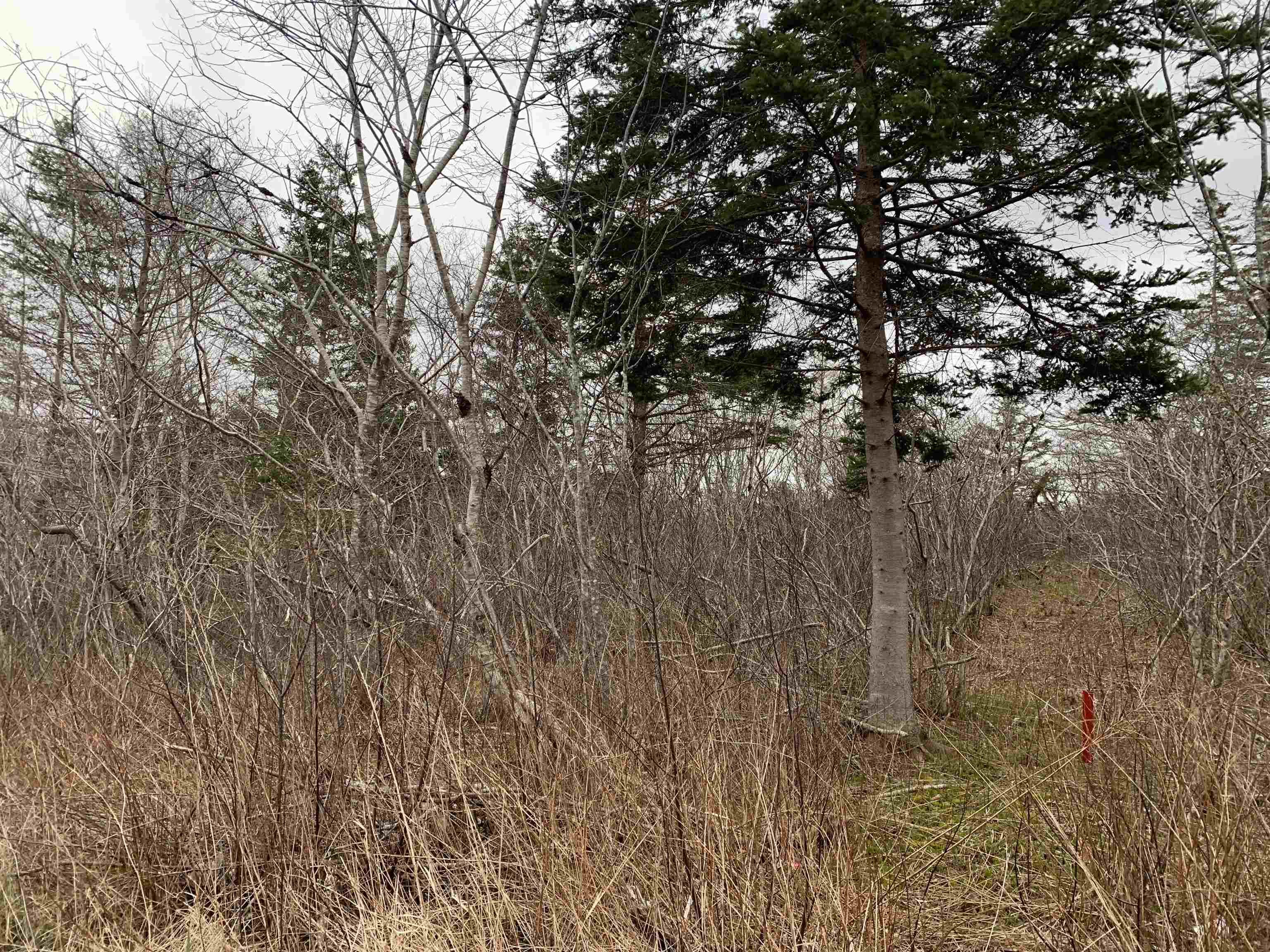 $60,000.00: Lots Hardwood Hills Road, Plymouth