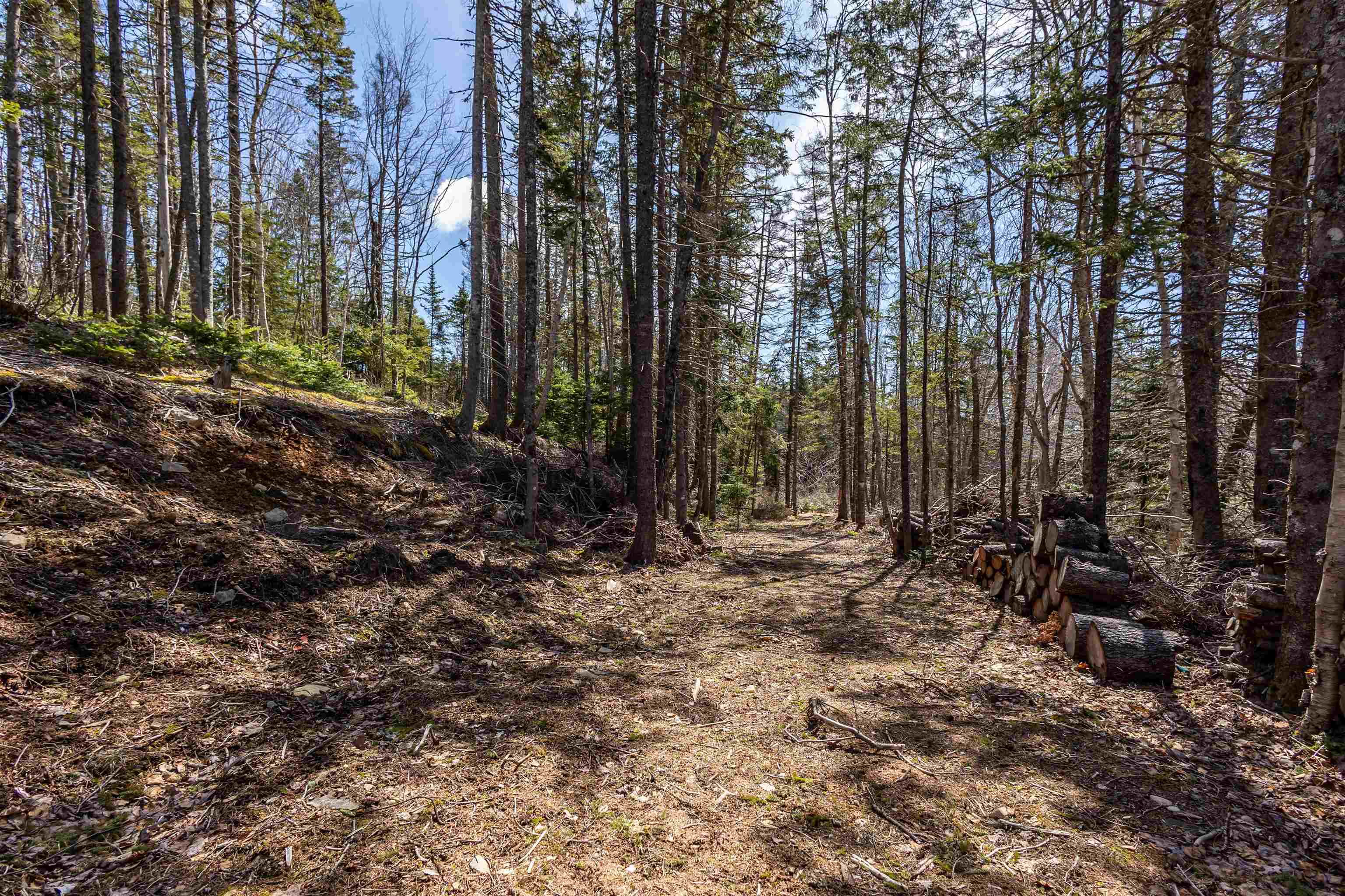 $57,500.00: Lot 1 327 Gabarus Highway, Caribou Marsh
