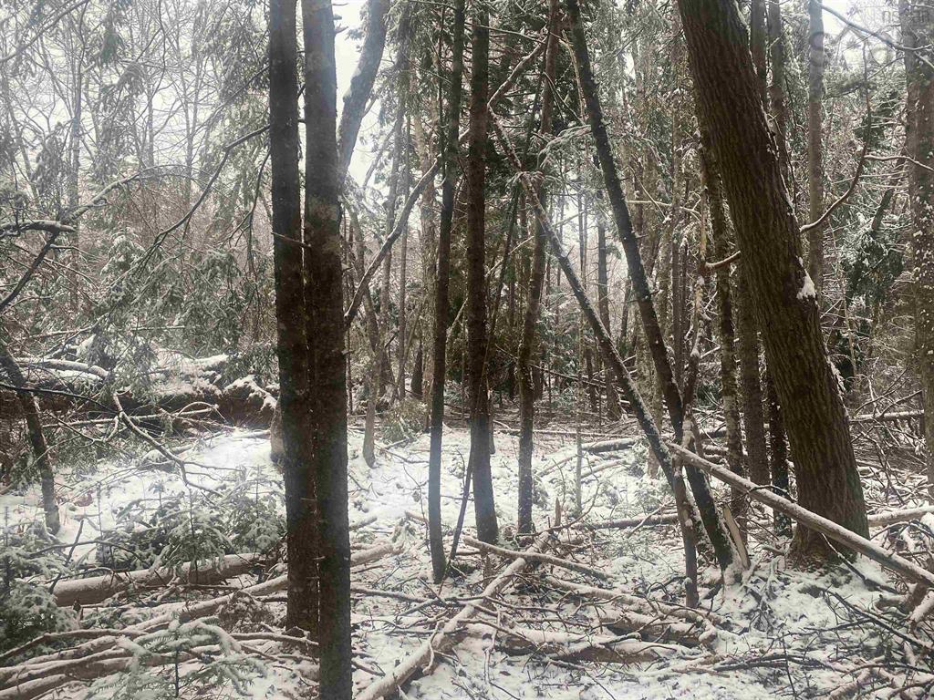 Lot 9 Highway 357, Musquodoboit Harbour, NS (MLS 202605339)