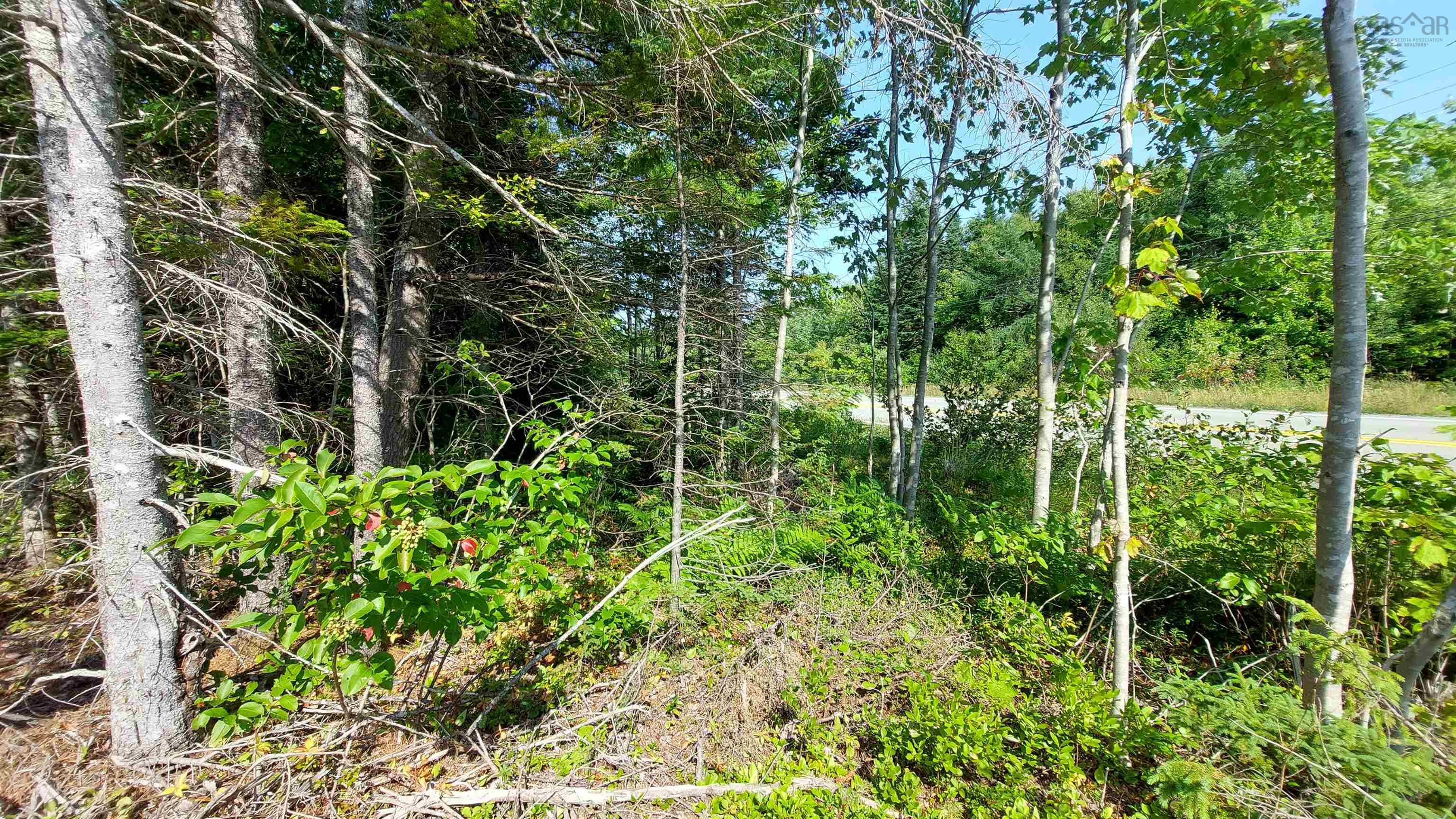 $75,000.00: 70 acre Highway 4, Grande Anse