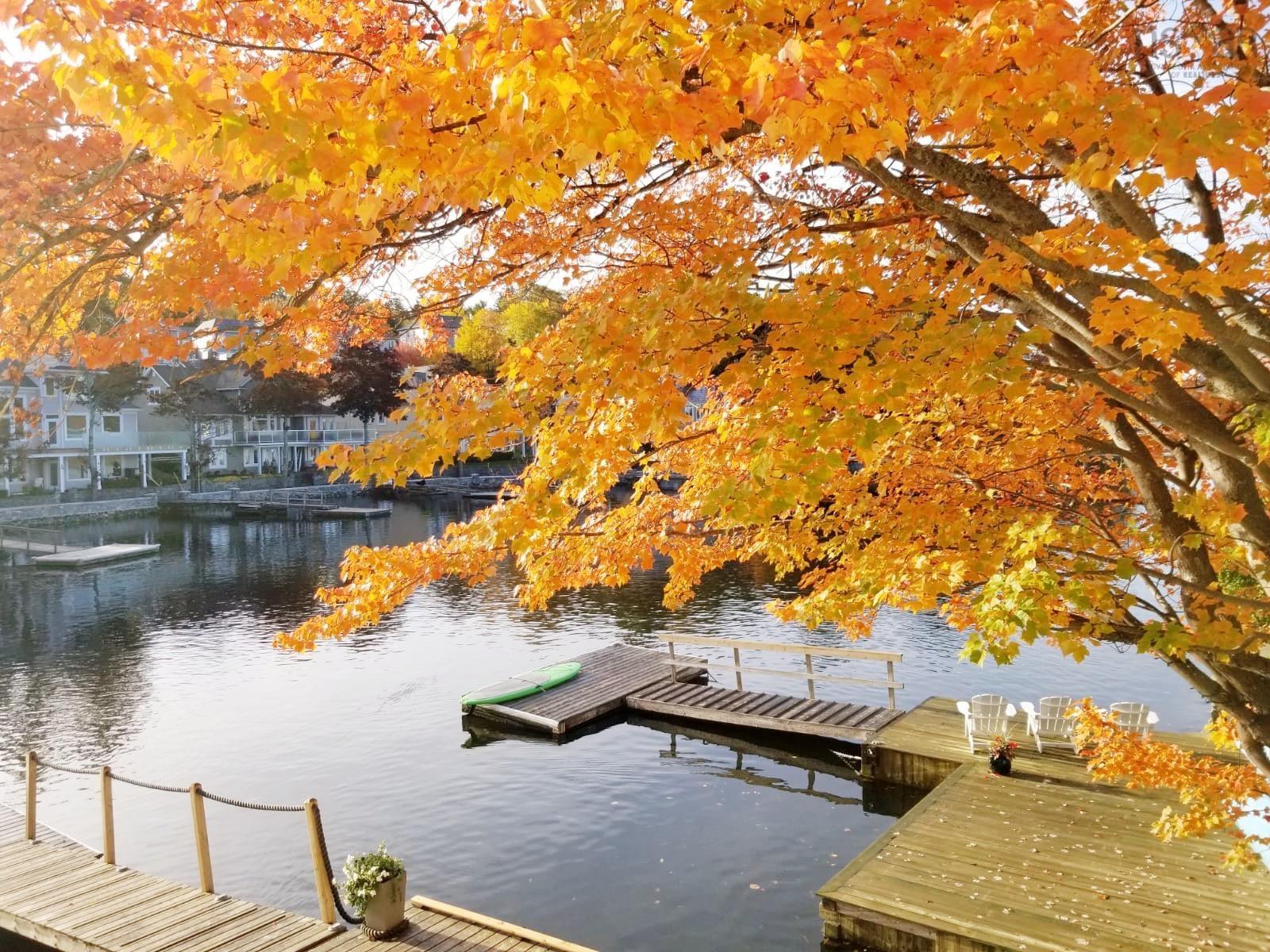 825 Shore Drive, Bedford, NS (MLS 202605367)