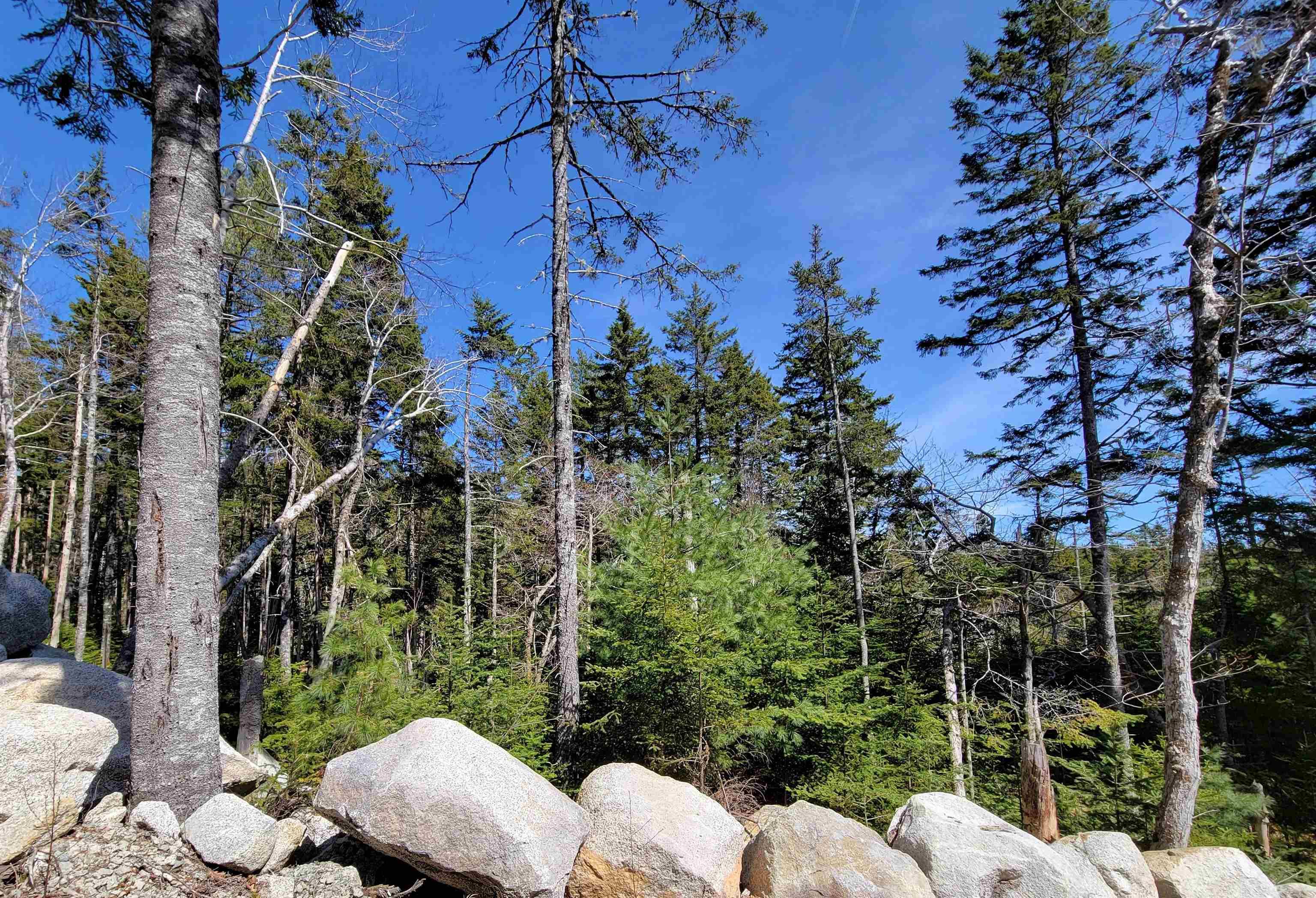 $84,900.00: Lot 27 Otter Point Extension, East Chester