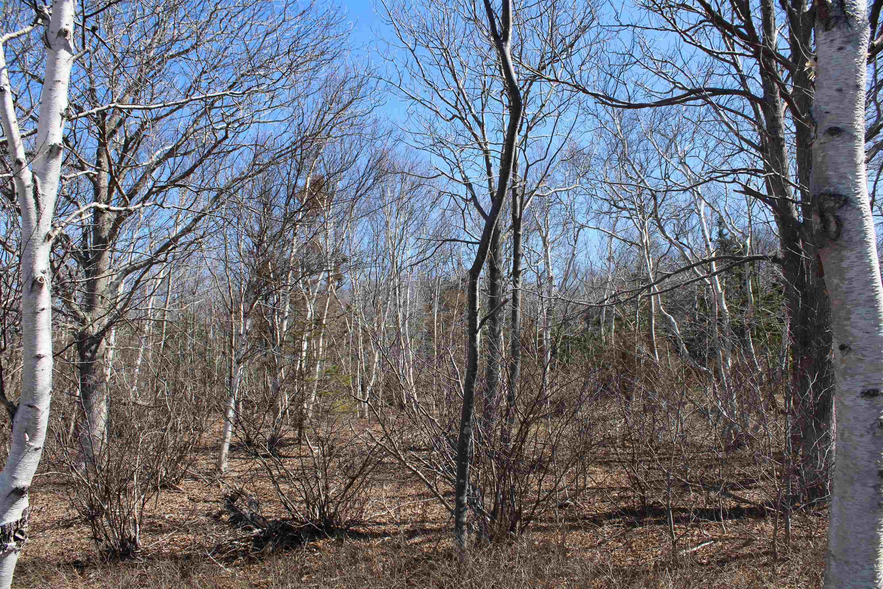 $175,000.00: Lot Granville Road, Victoria Beach