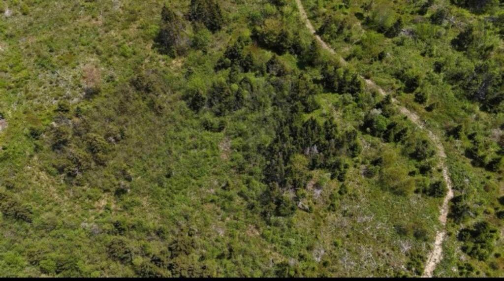 $32,500.00: 344 Highway, Sand Point