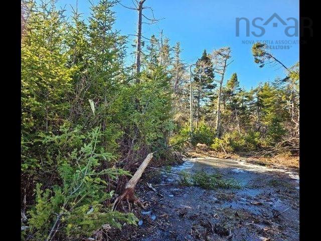 $34,900.00: Port LaTour Road, Port La Tour