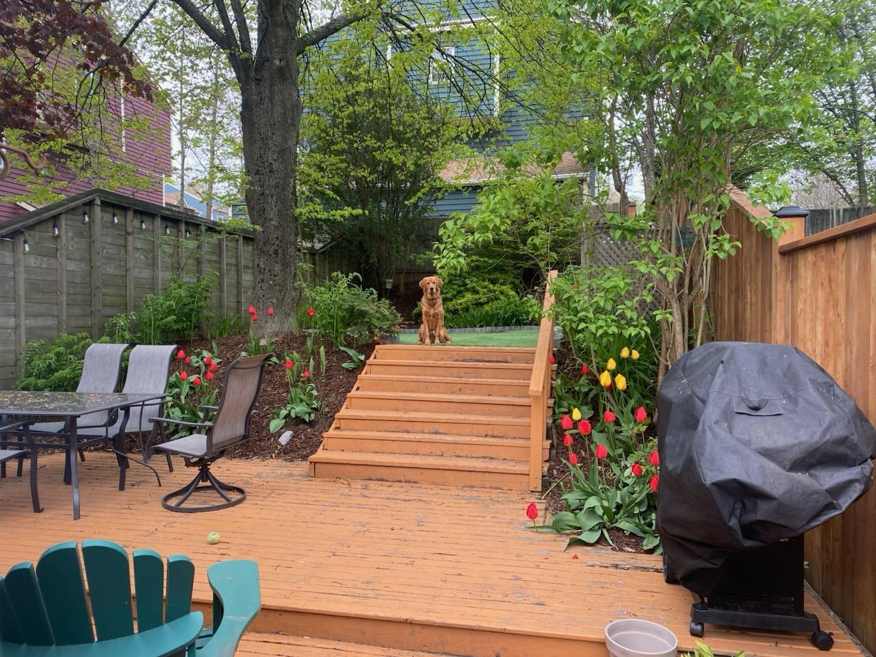 2572 Brunswick Street, Halifax, NS (MLS 202605412)