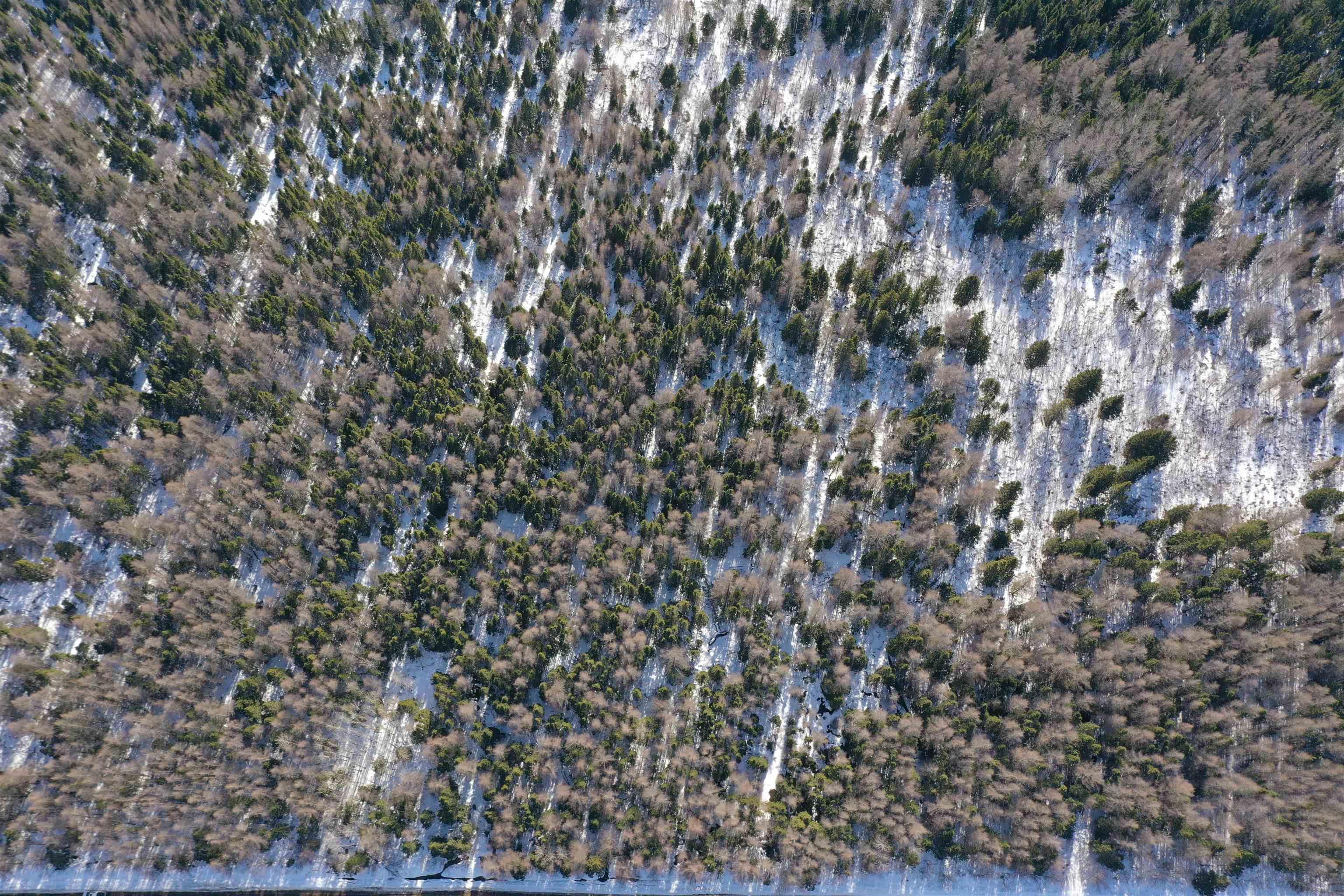 $44,900.00: Lot 4C Whycocomagh-Port Hood Road, Southwest Mabou