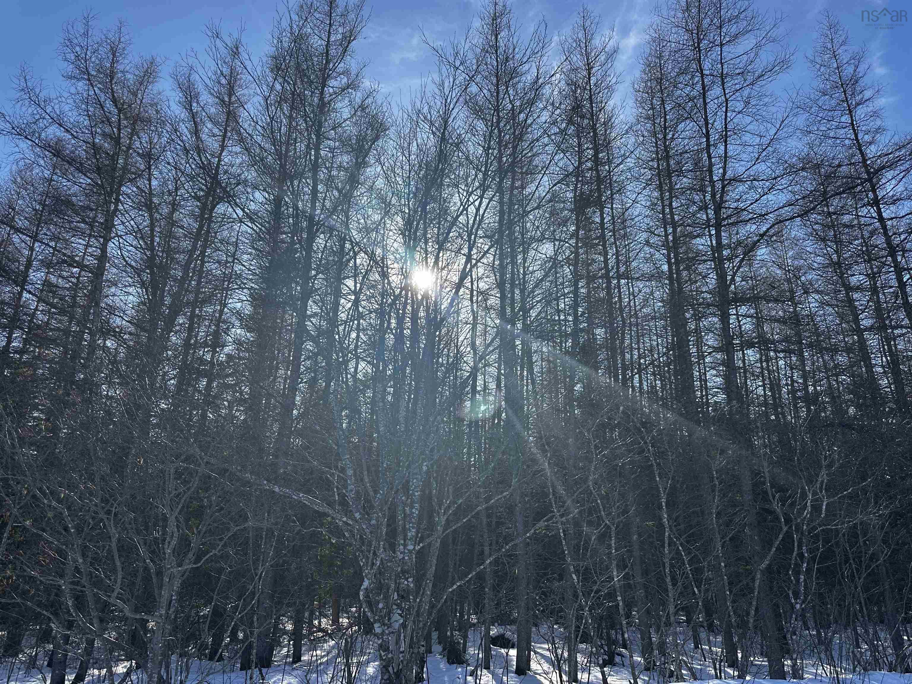 $44,900.00: Lot 4C Whycocomagh-Port Hood Road, Southwest Mabou