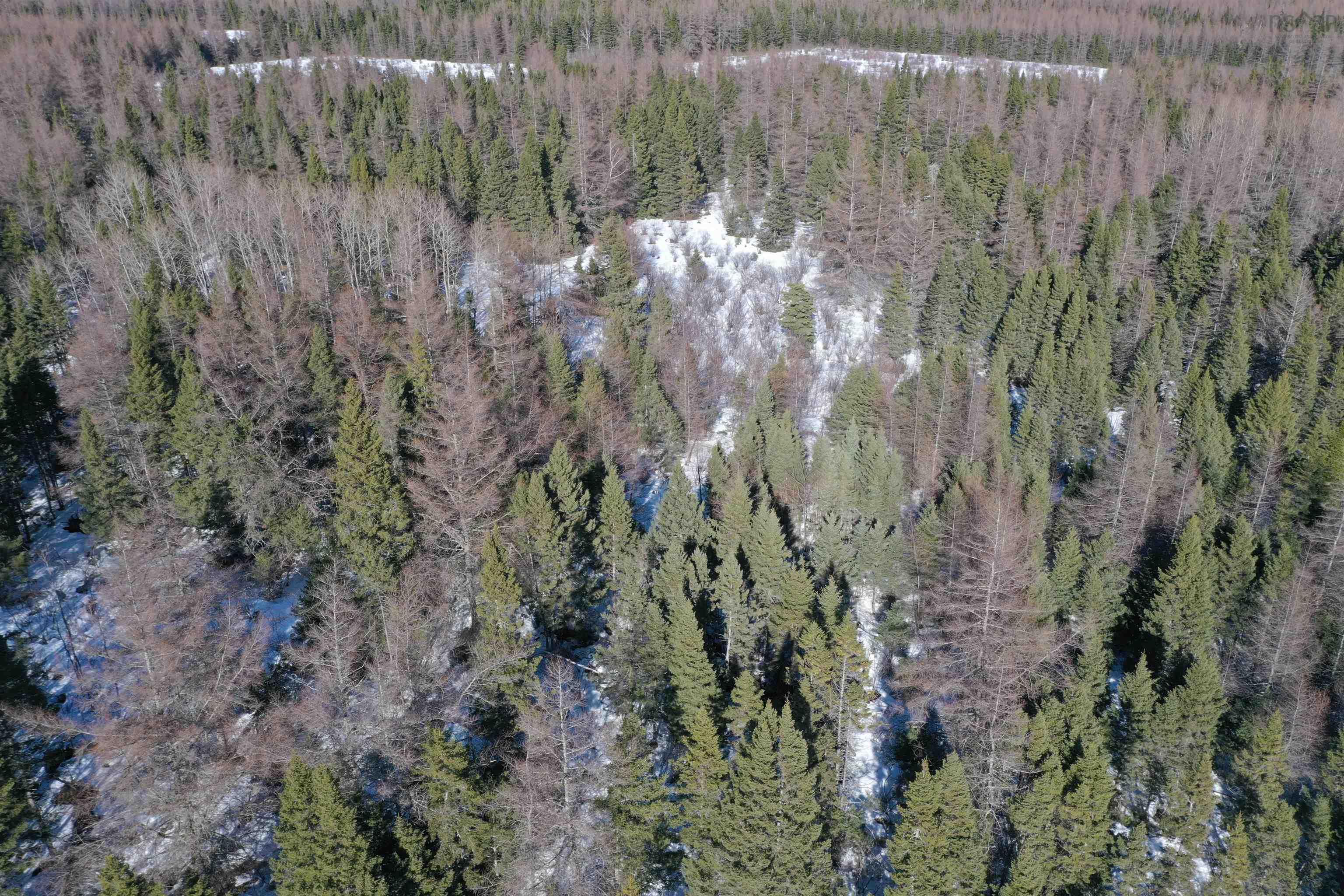 $44,900.00: Lot 4C Whycocomagh-Port Hood Road, Southwest Mabou