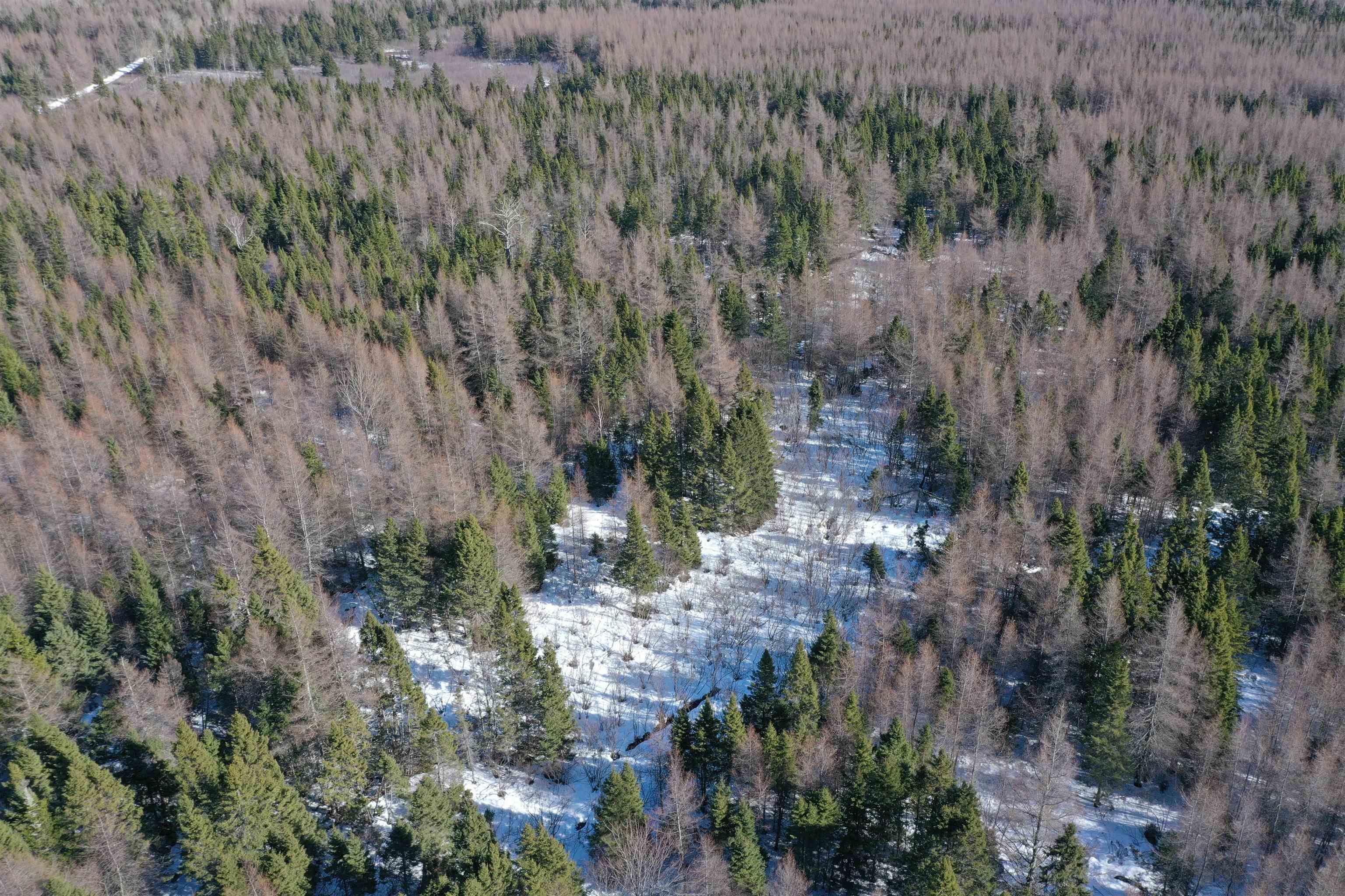 $44,900.00: Lot 4D Whycocomagh-Port Hood Road, Southwest Mabou