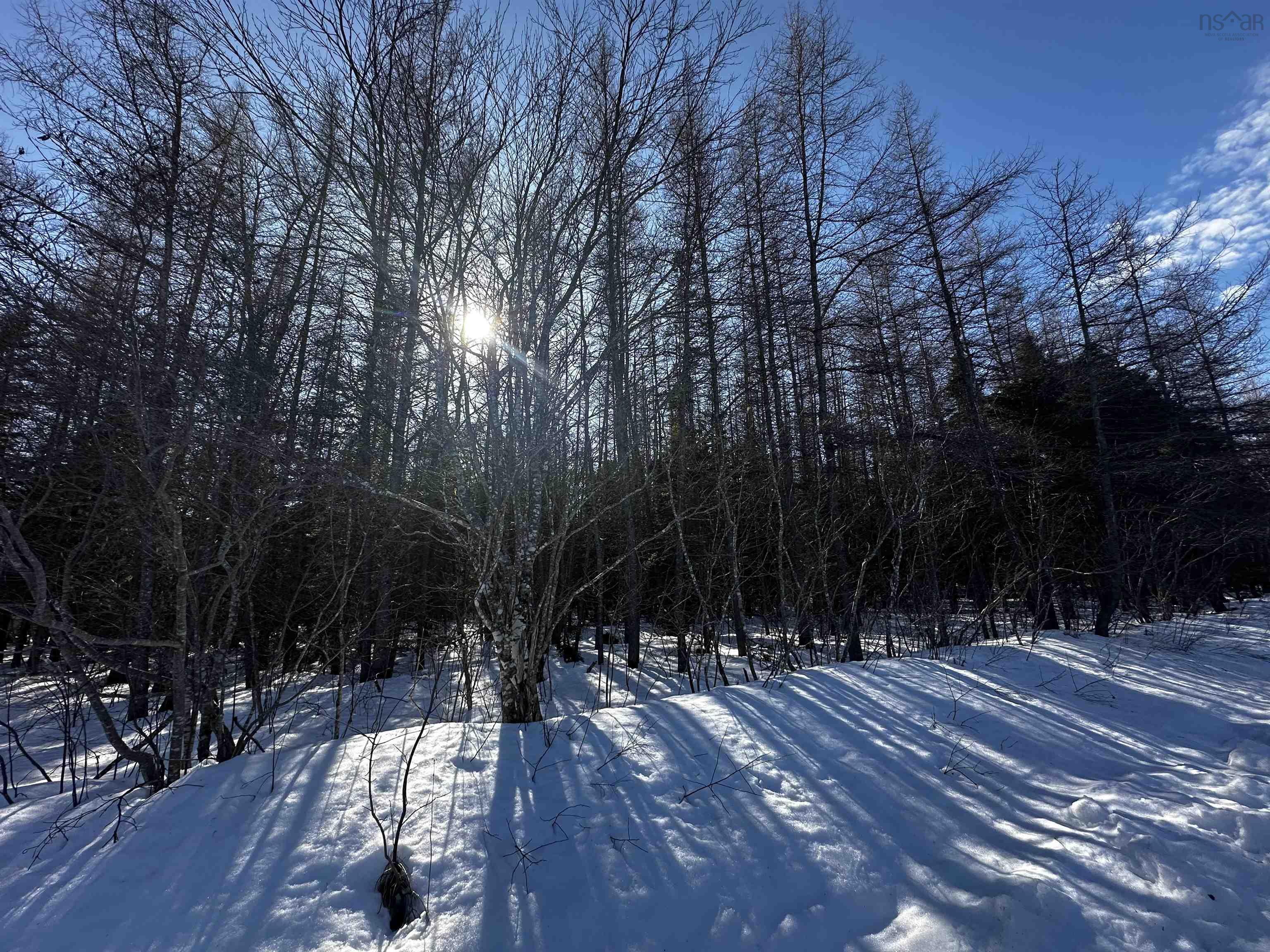 $24,900.00: Lot 4E Whycocomagh-Port Hood Road, Southwest Mabou