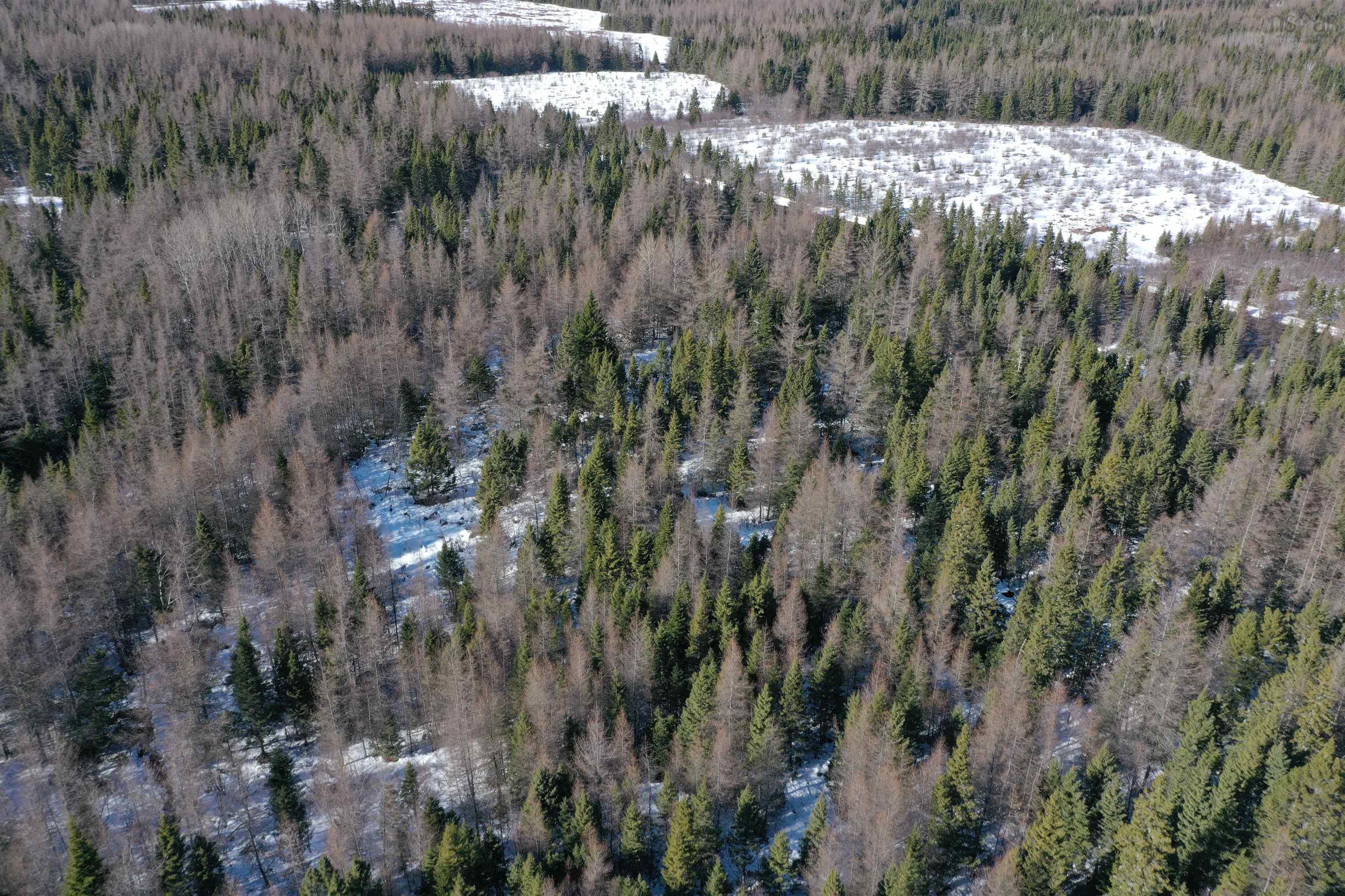 $24,900.00: Lot 4E Whycocomagh-Port Hood Road, Southwest Mabou