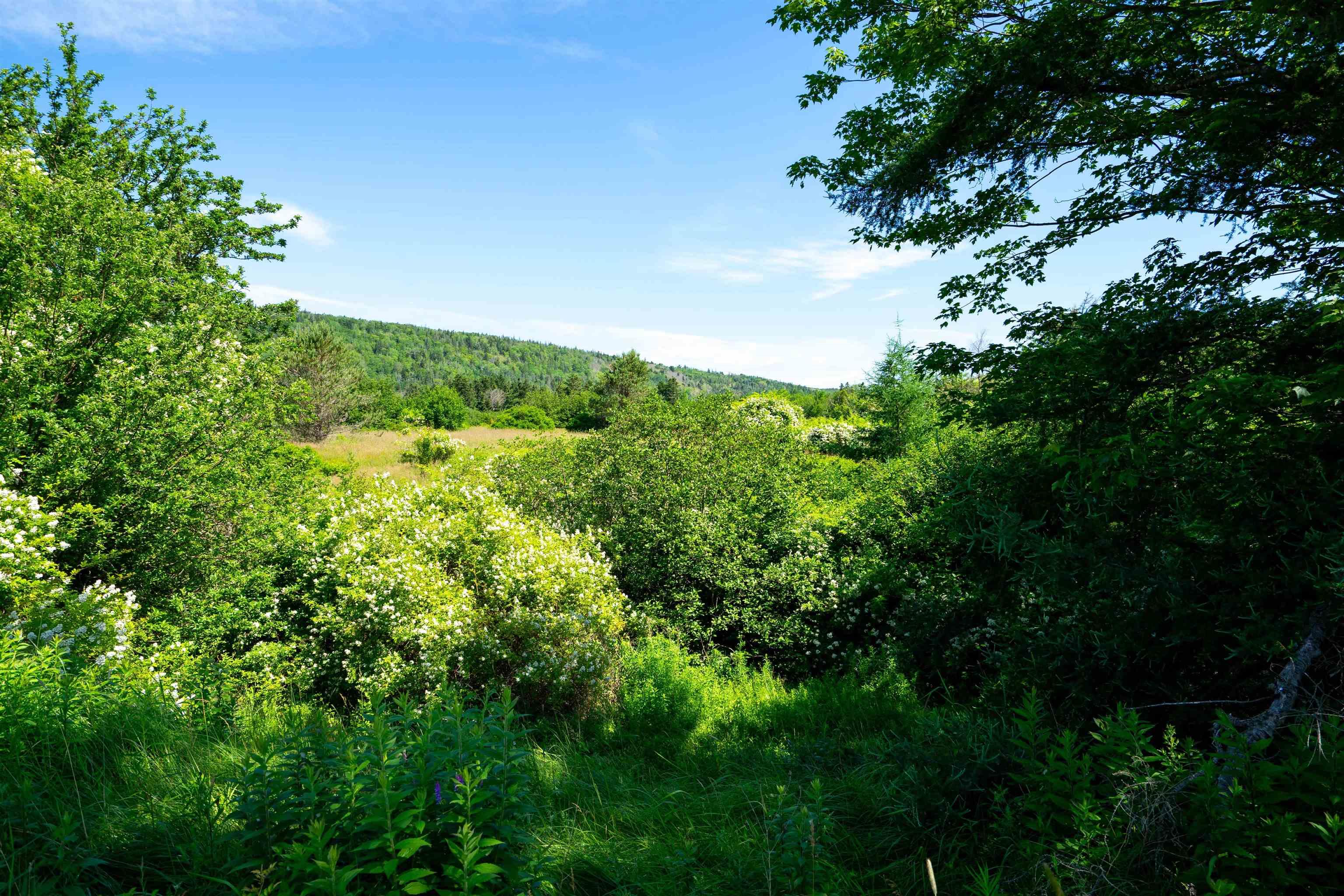 $555,000.00: 1685 Granville Road, Port Wade