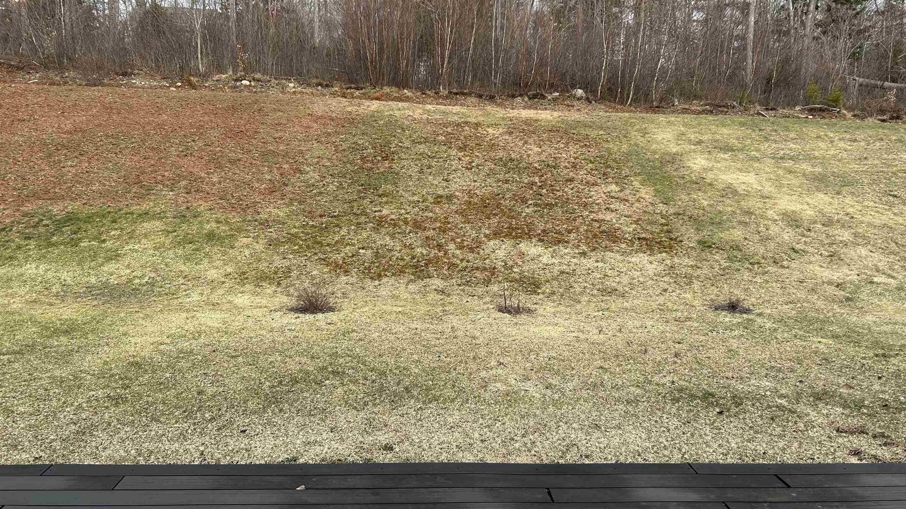 $375,000.00: 41 Covington Place, Bible Hill