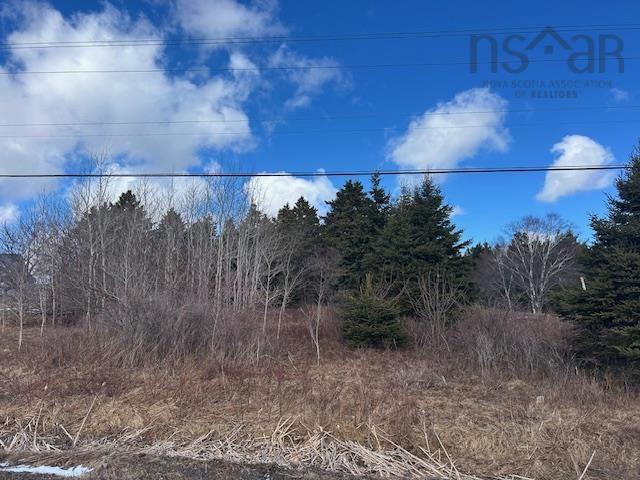 $29,000.00: #4 Highway, River Bourgeois