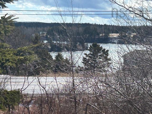 $29,000.00: #4 Highway, River Bourgeois