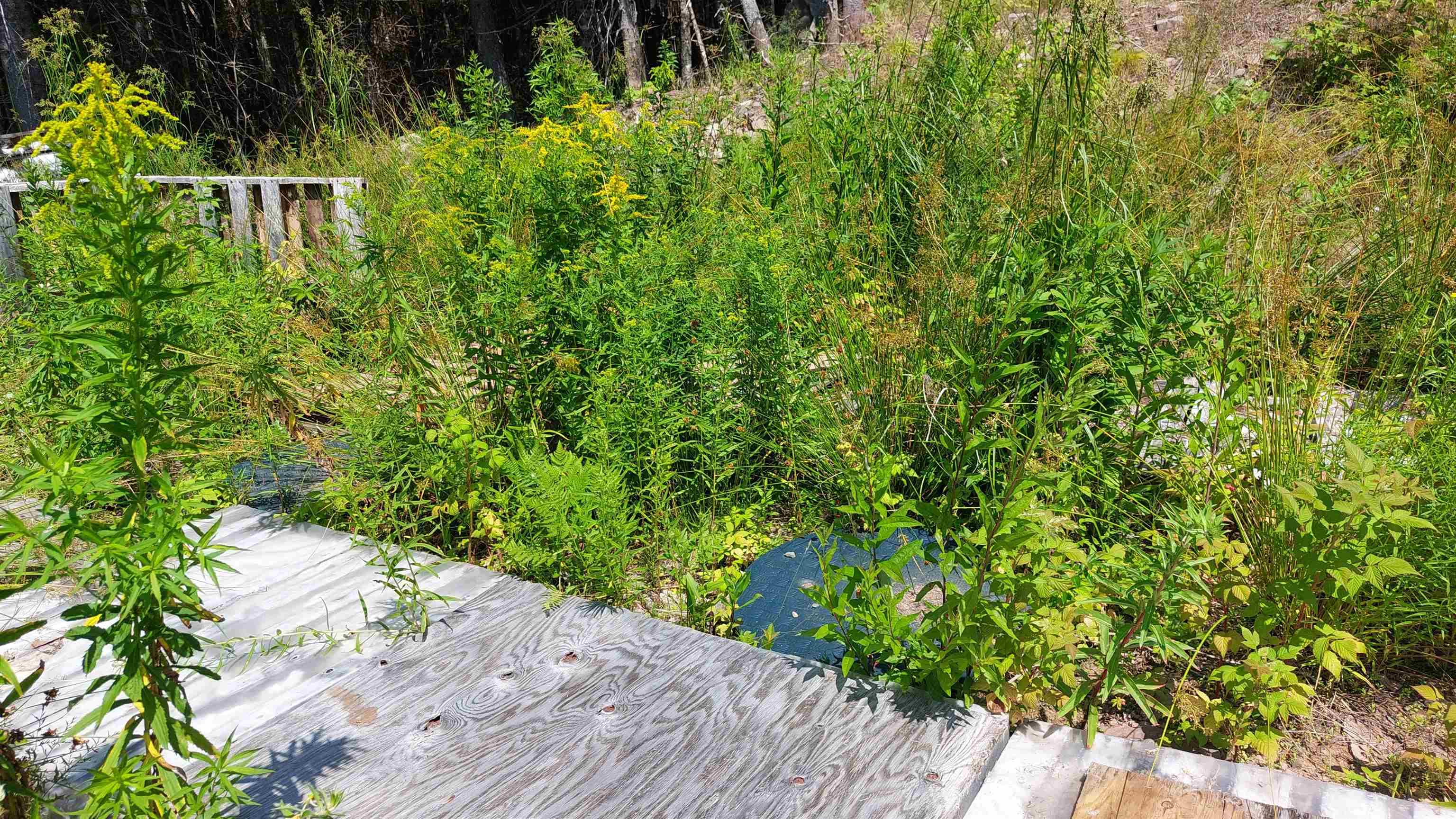 $79,500.00: 75 Evanston Rd, Cleveland