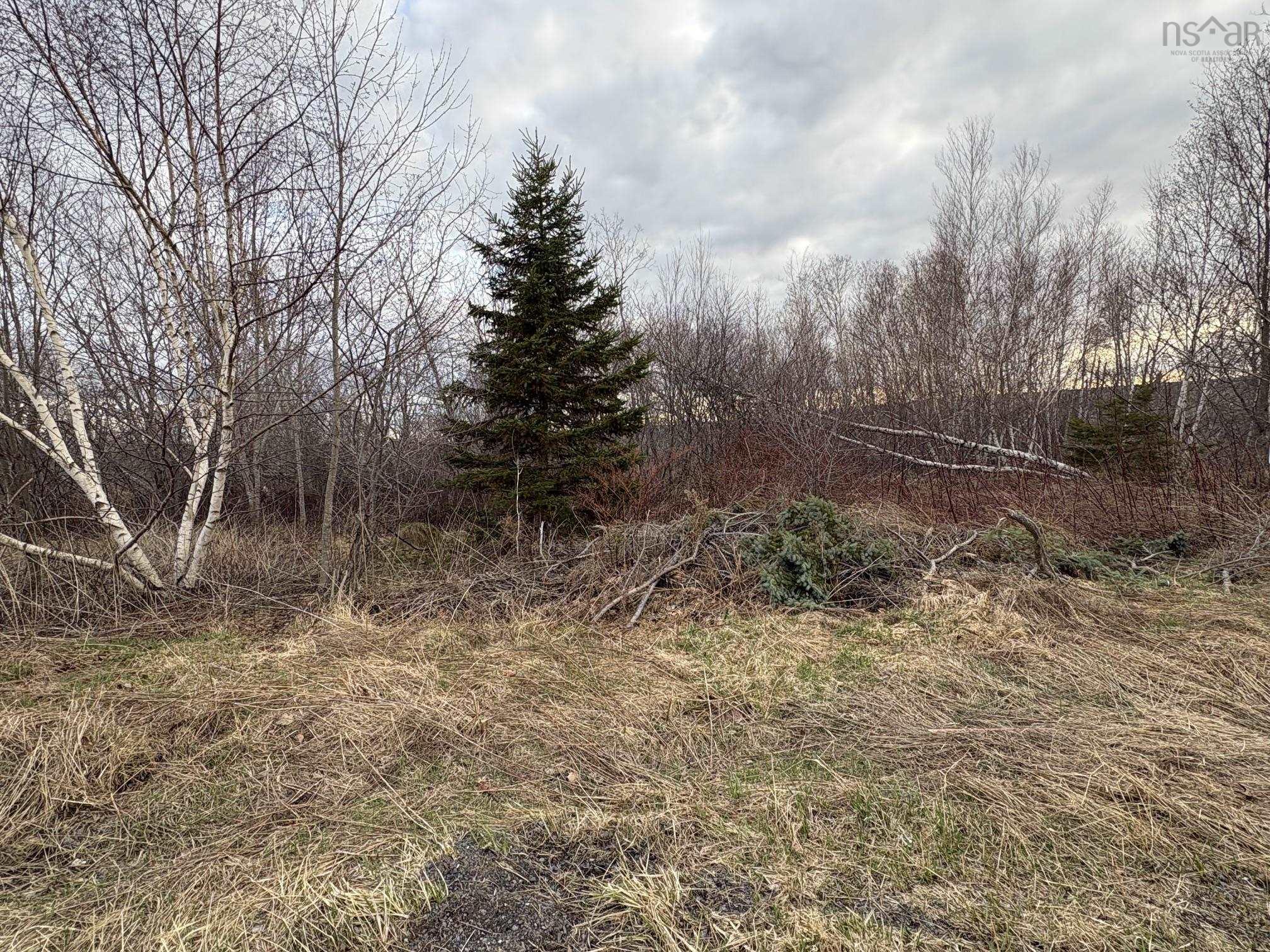 $17,000.00: Lot - Oak Street, Trenton