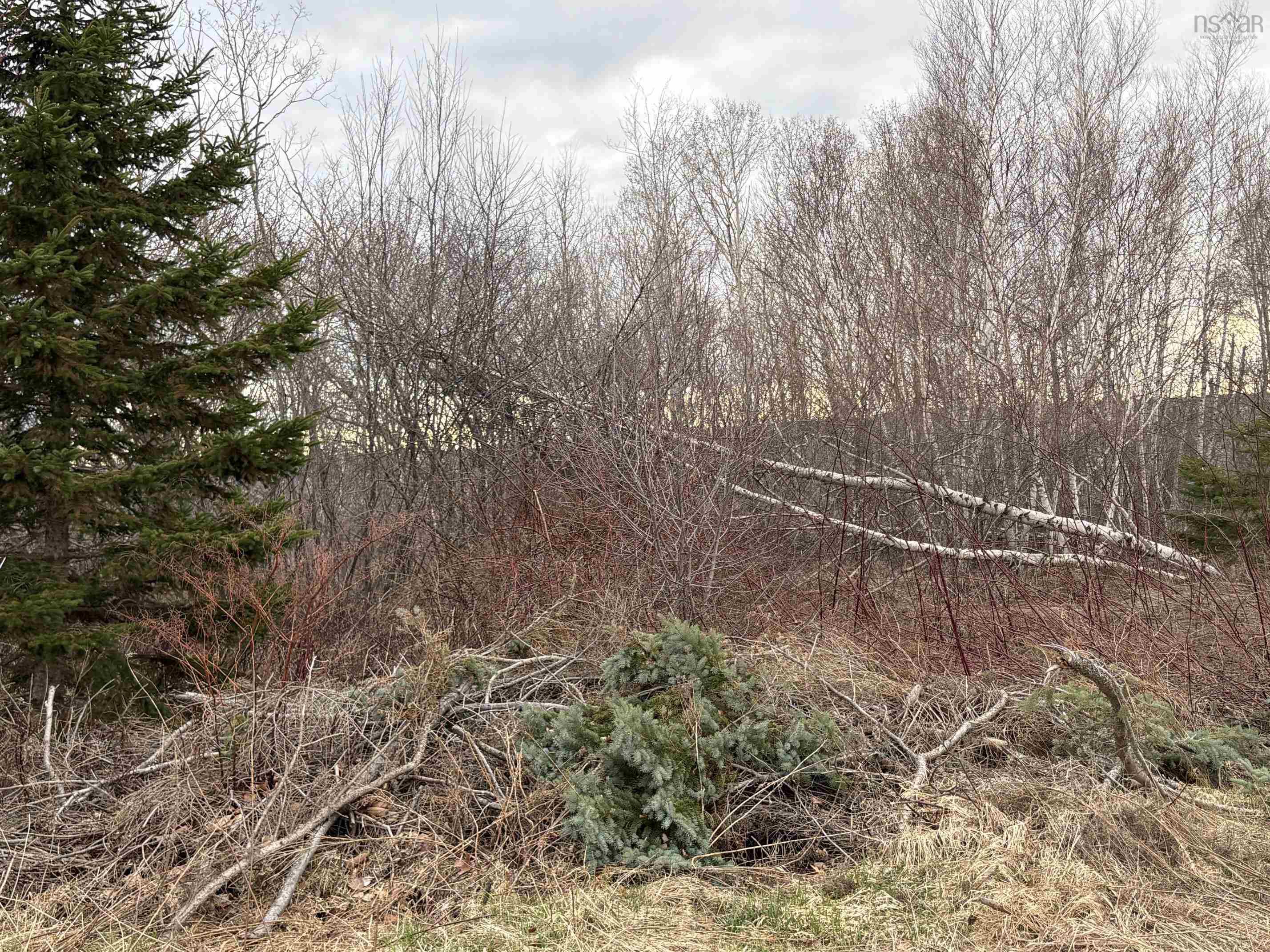 $17,000.00: Lot - Oak Street, Trenton