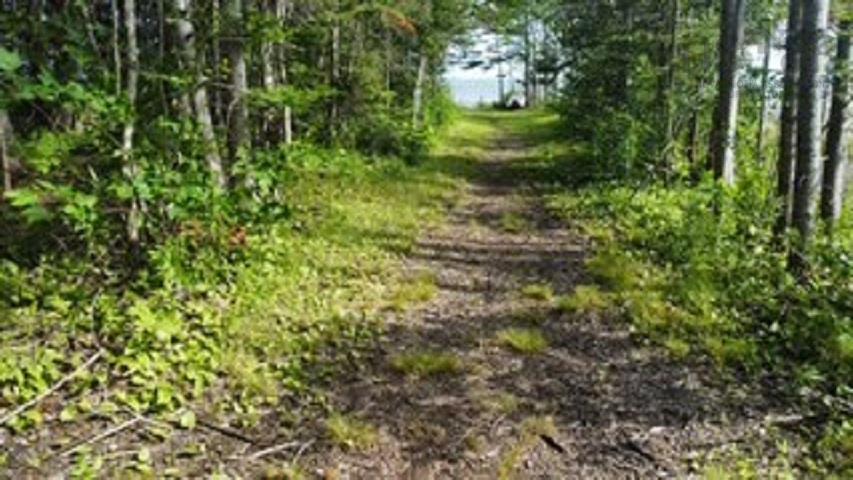 $59,900.00: 08-2 Malagash Road, Malagash Point