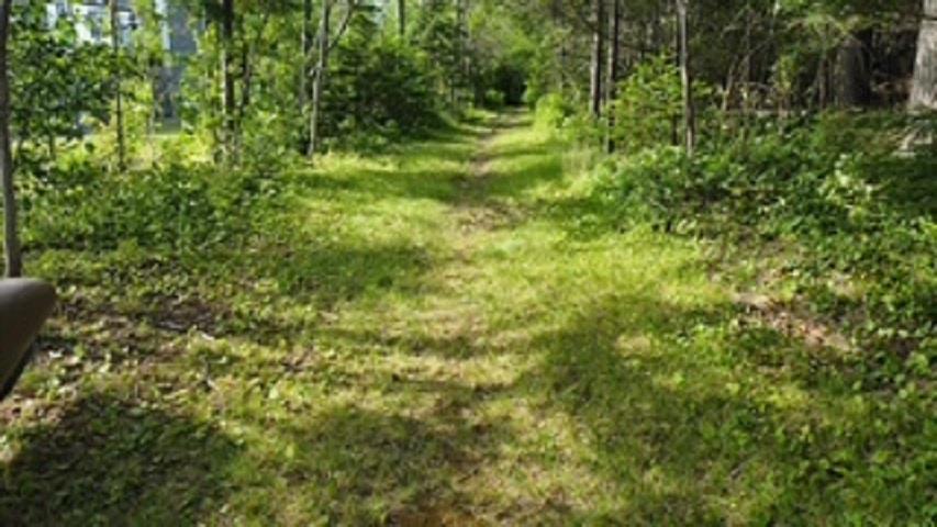 $59,900.00: 08-2 Malagash Road, Malagash Point