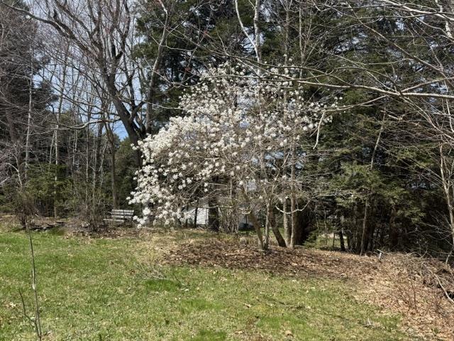 $369,000.00: 1040 Conquerall Mills Road, Conquerall Mills